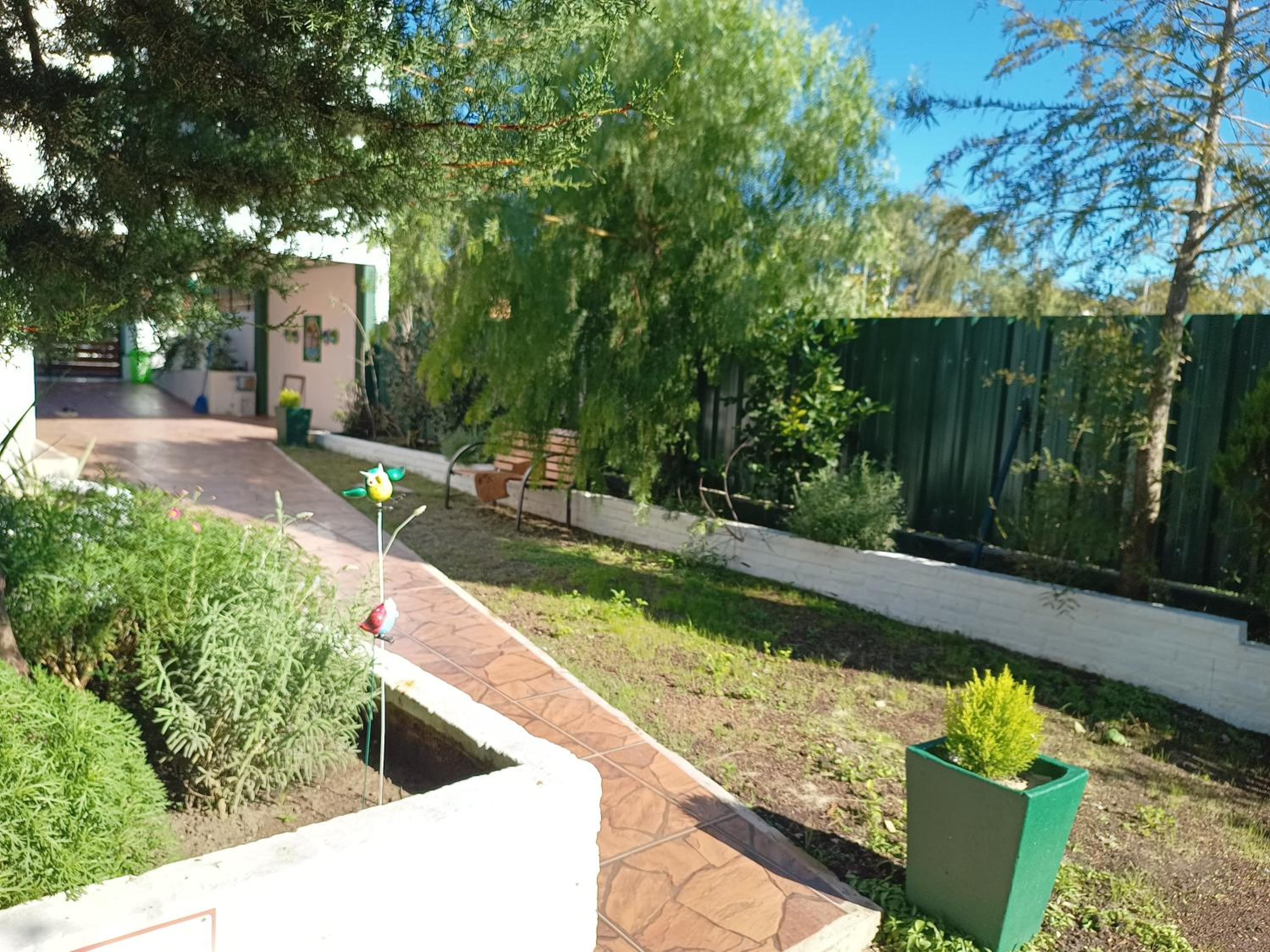 Photo 31