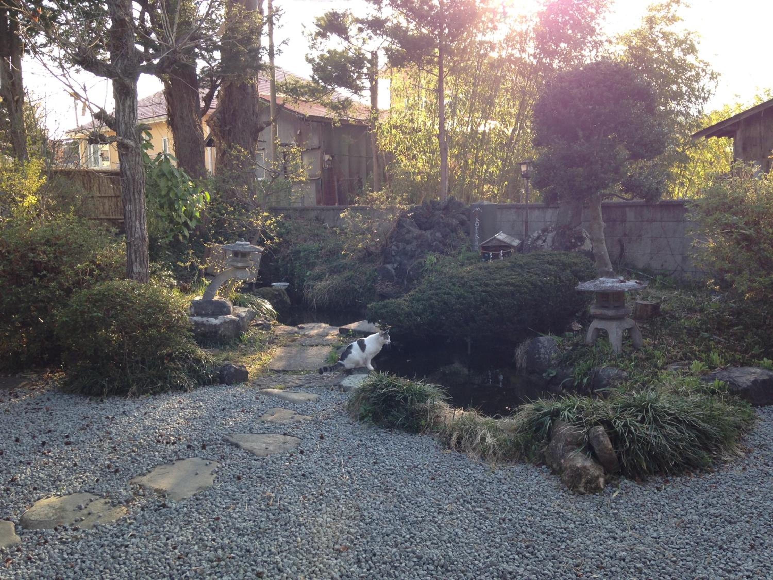 Photo 37