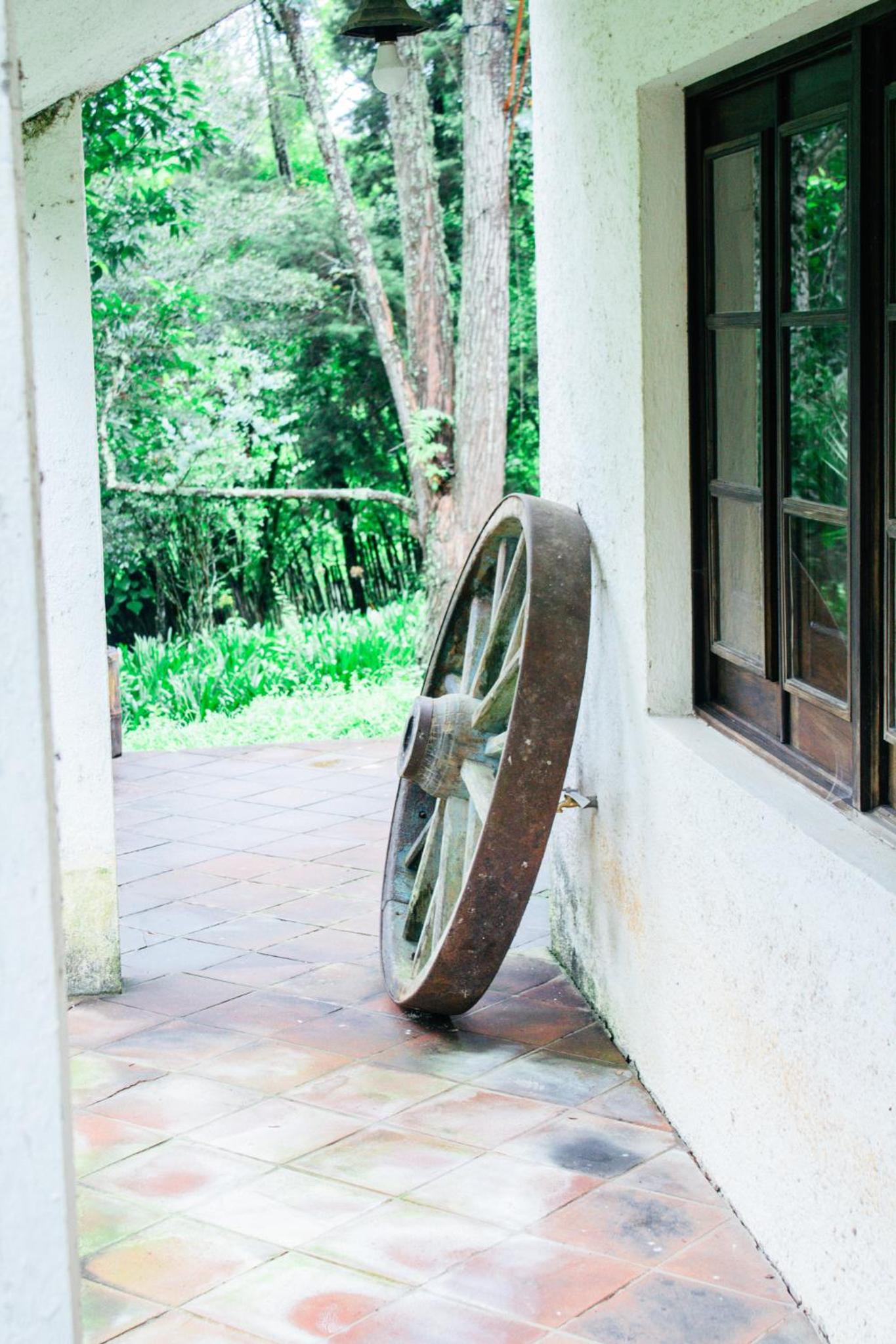 Photo 47