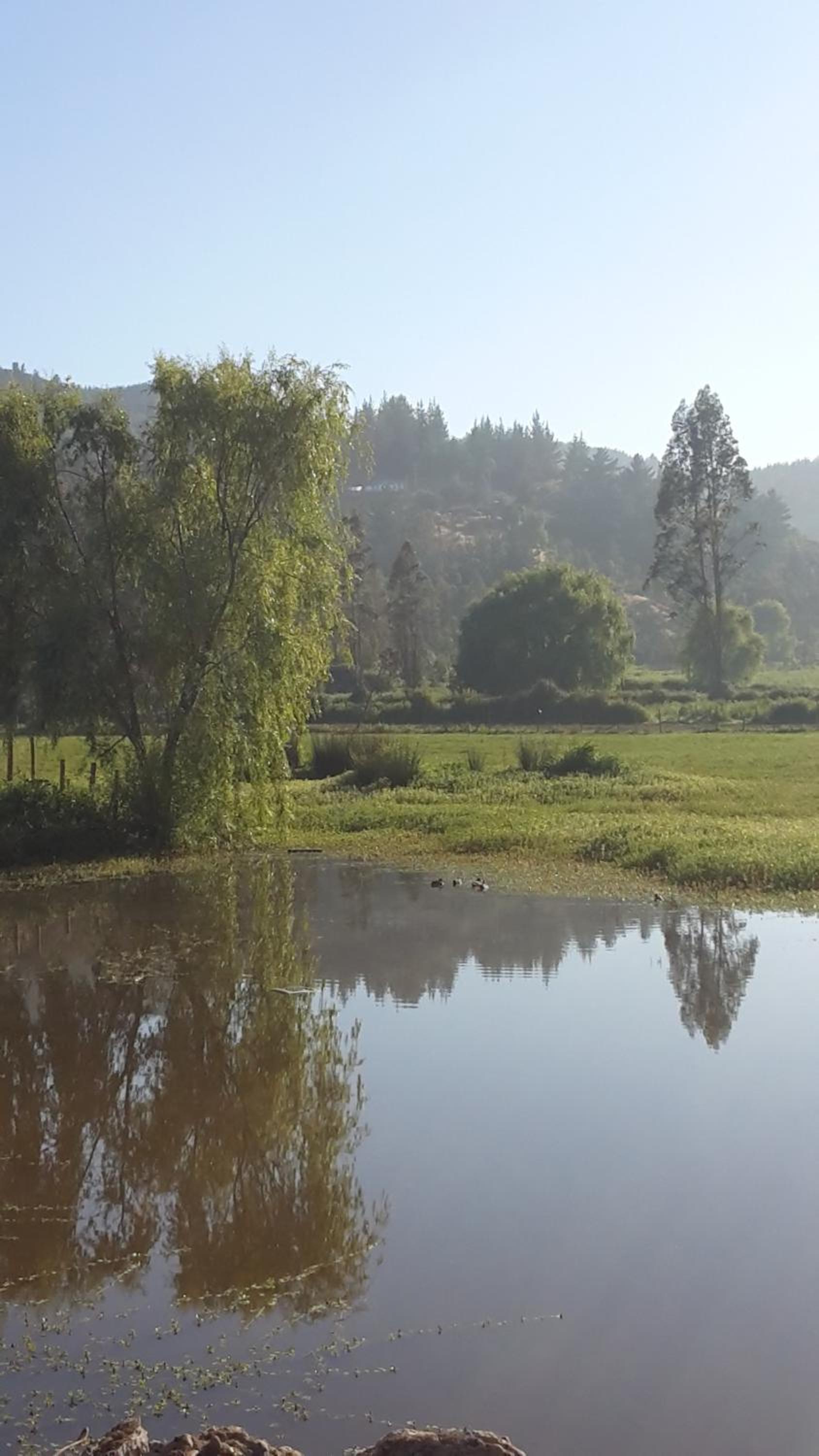Cabañas Rukas Licantén