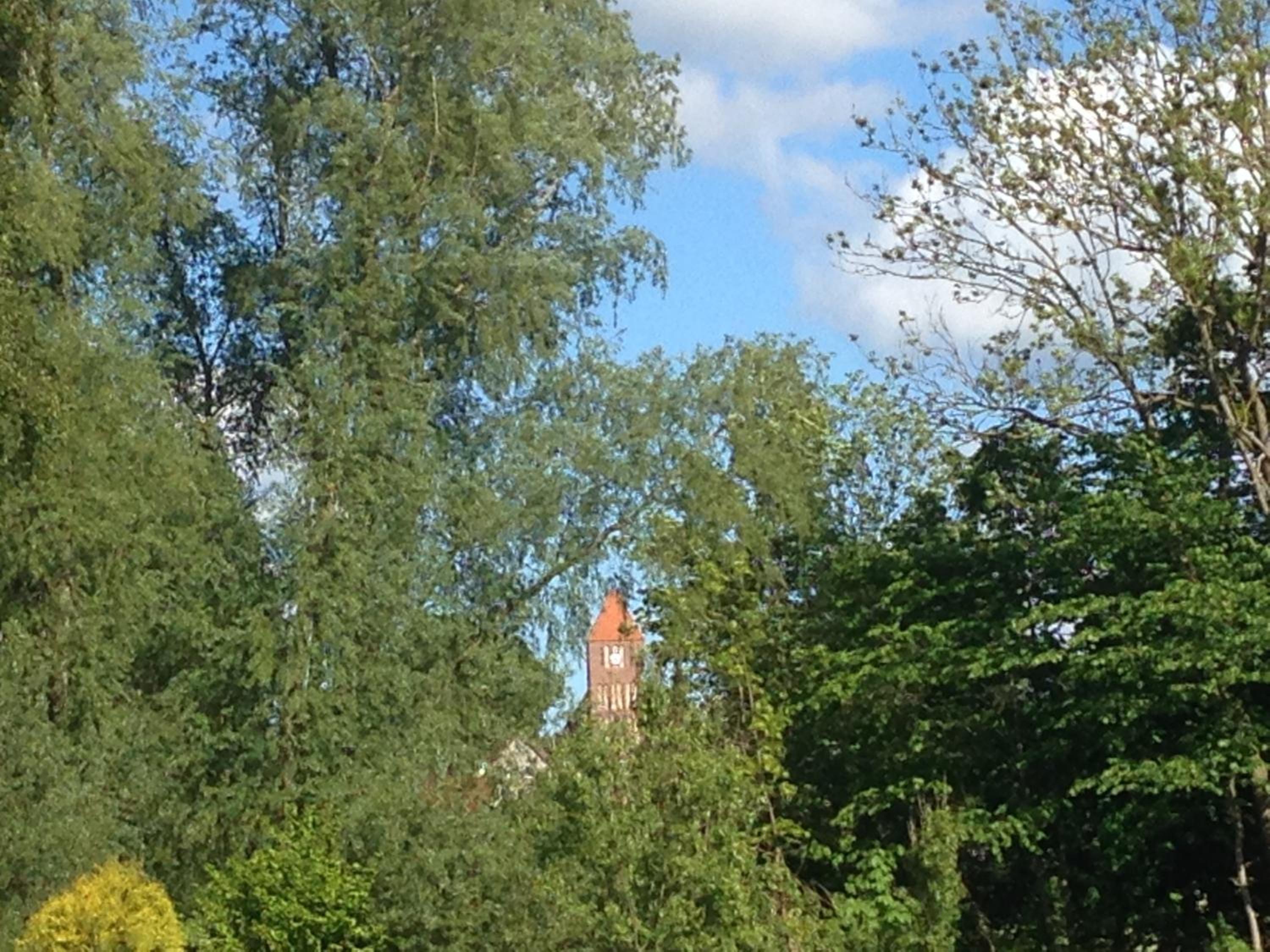 Photo 22