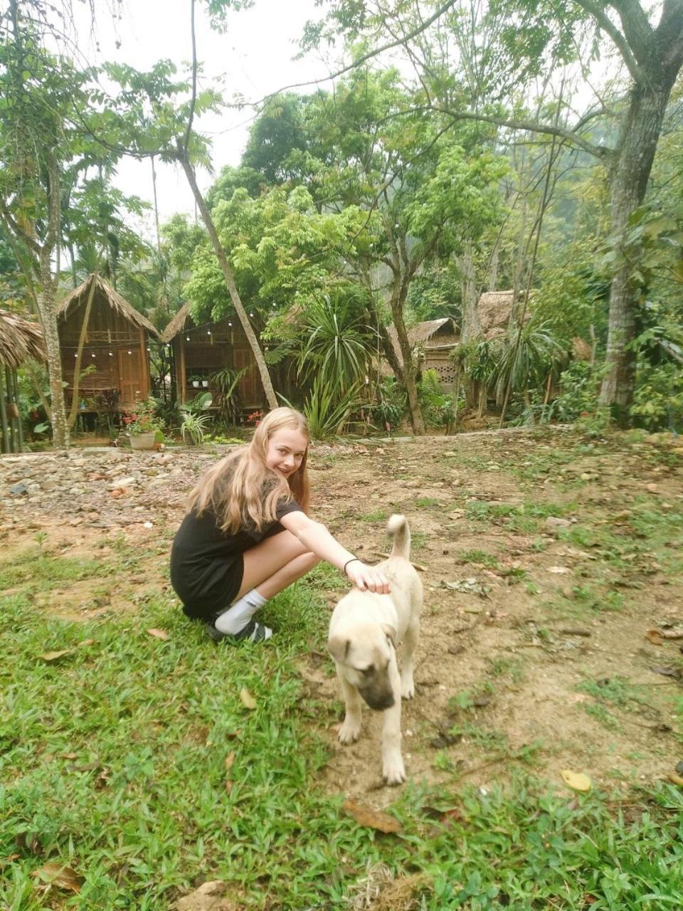 NaCo Lodge Homestay