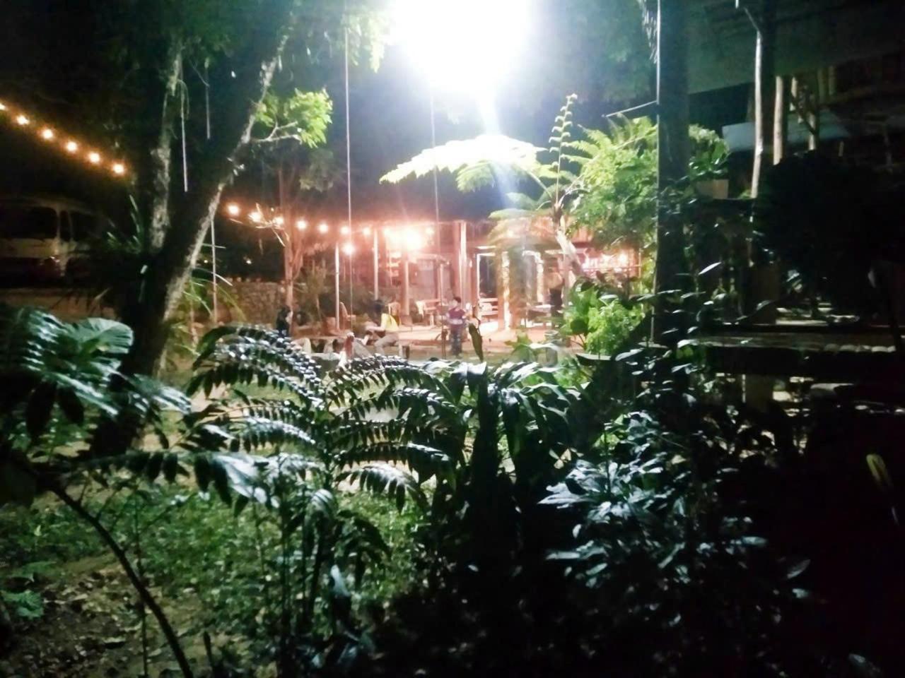 NaCo Lodge Homestay