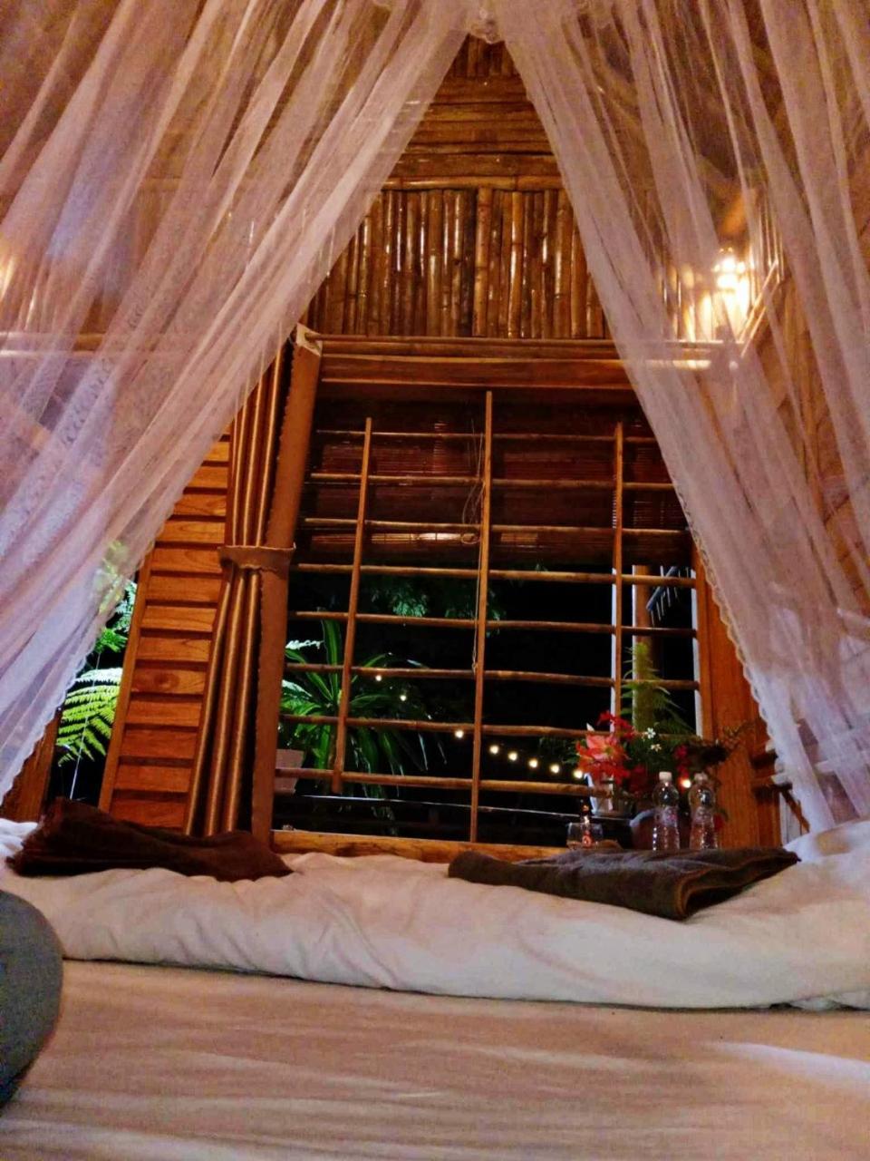 NaCo Lodge Homestay