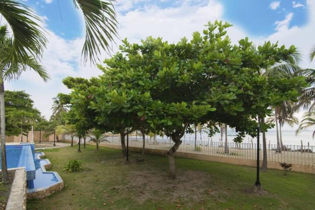Magico Apartamento Frente al Mar 2 Habitaciones MSC33