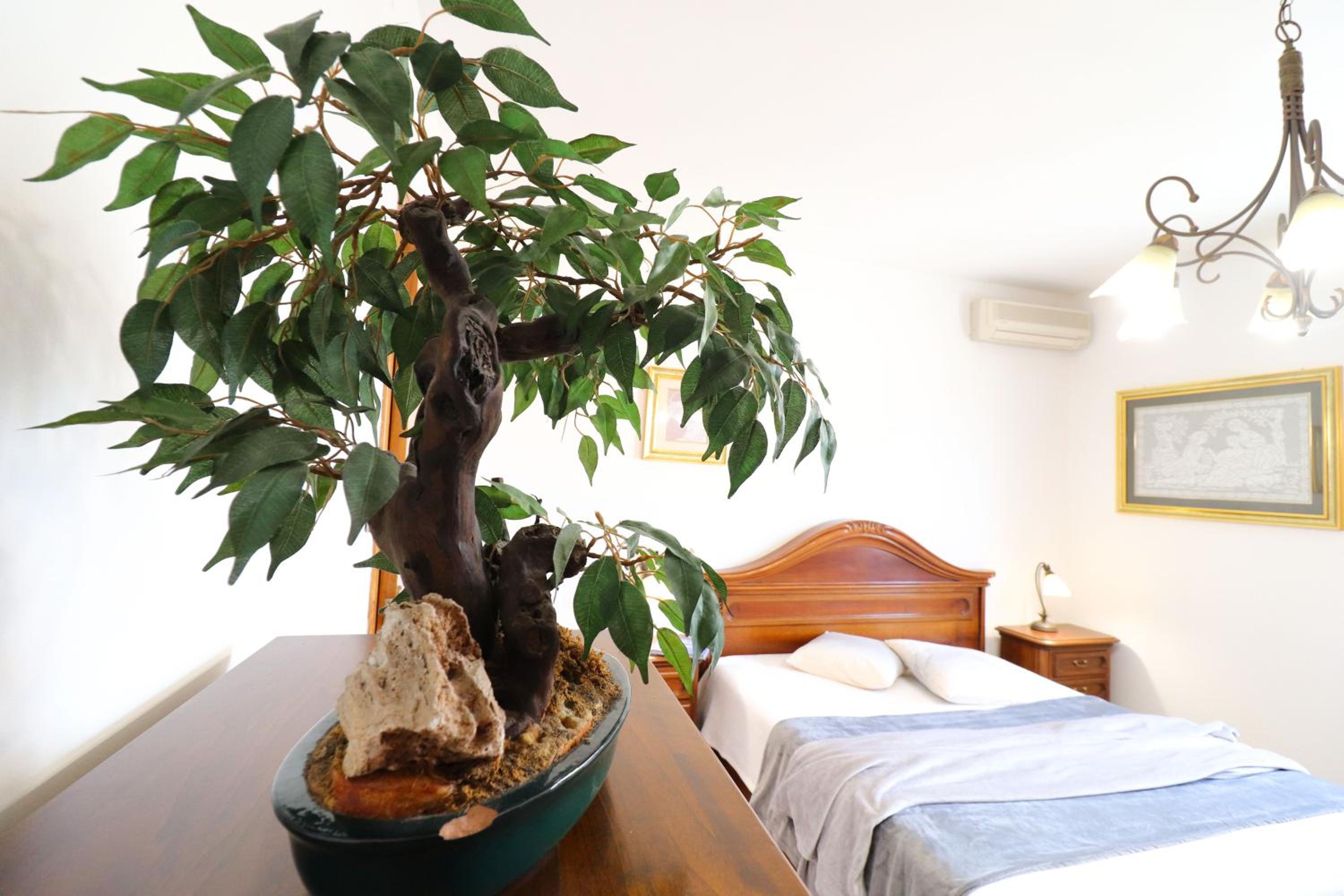 Calipsos home in Otranto en Otranto — hotel room