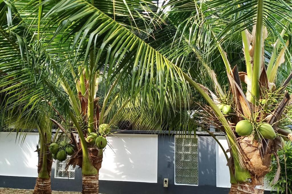 The Bird's Nest Holiday Villa Port Dickson photo 5