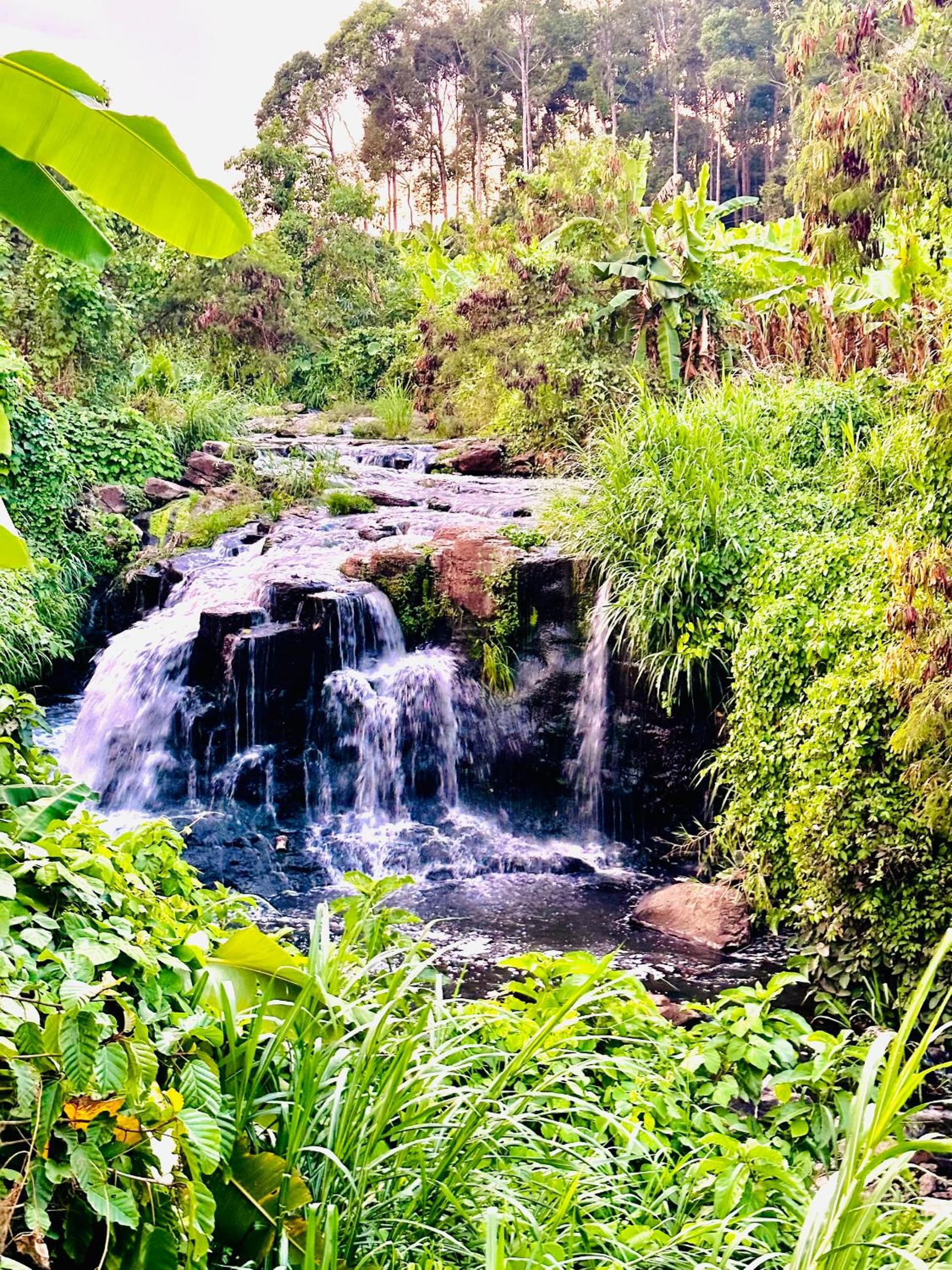 Bến Hồ Homestay view 5