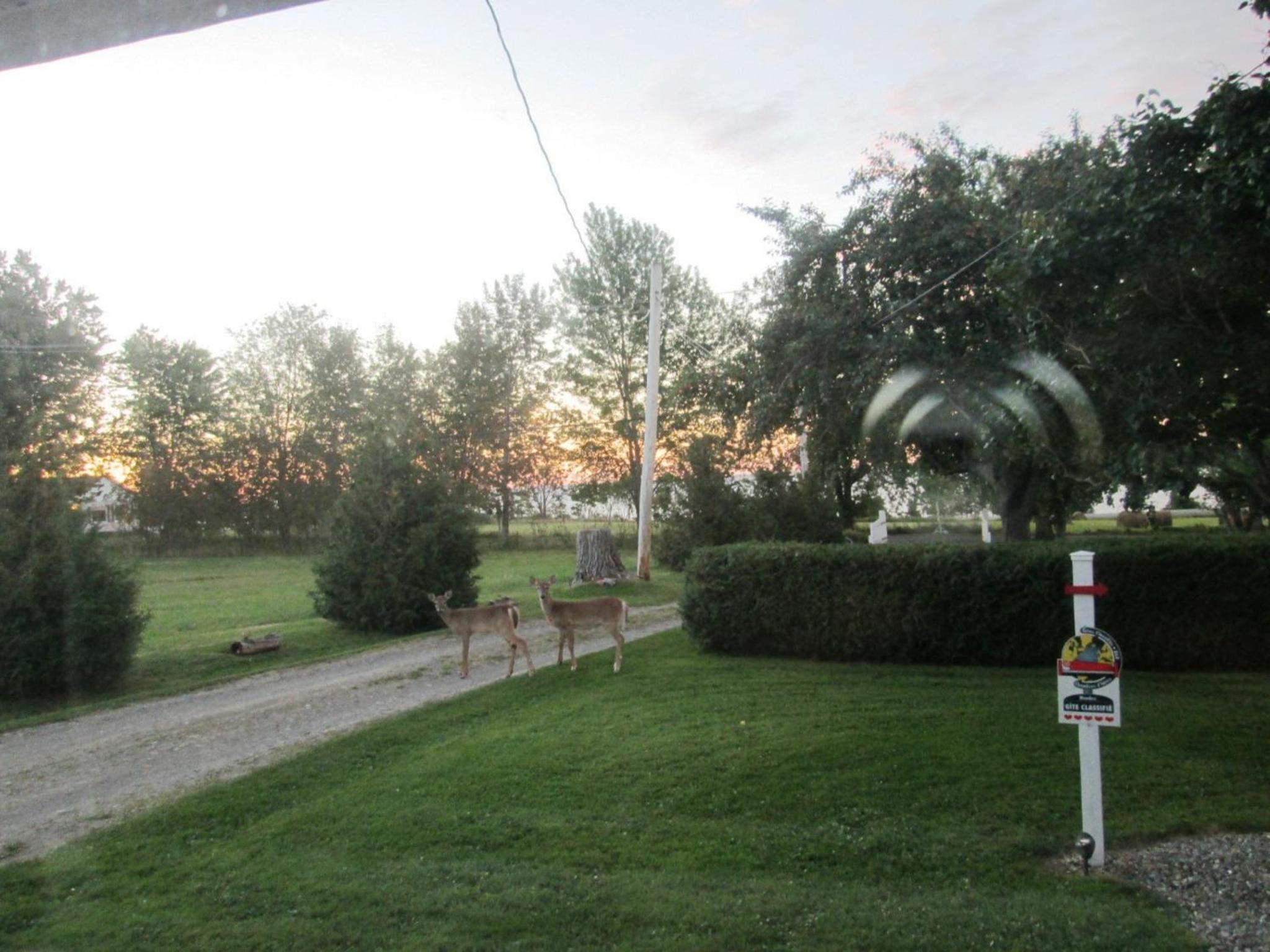 Gîte Les Acres Tranquilles B&B view 2