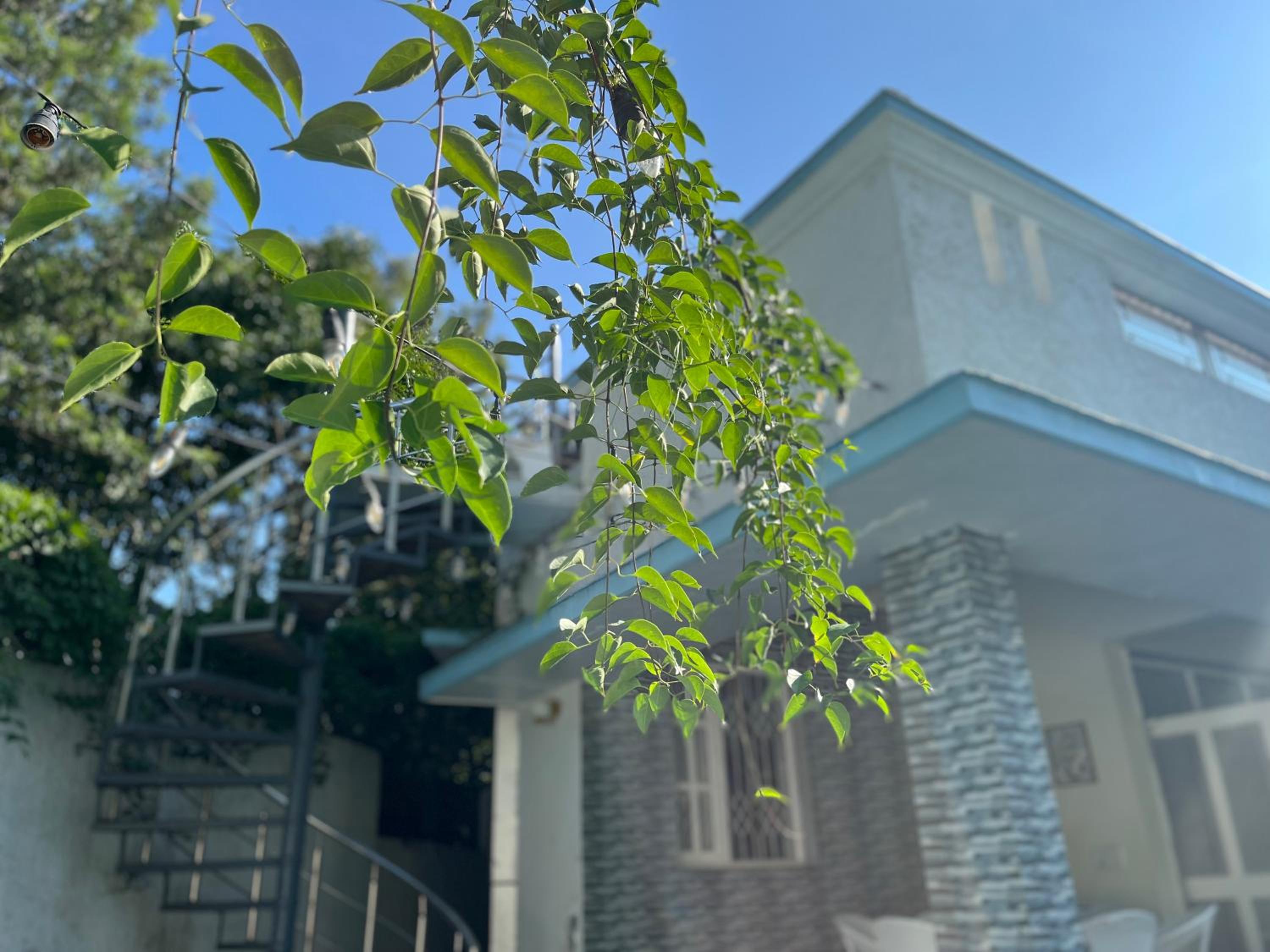AruBhi Cottage