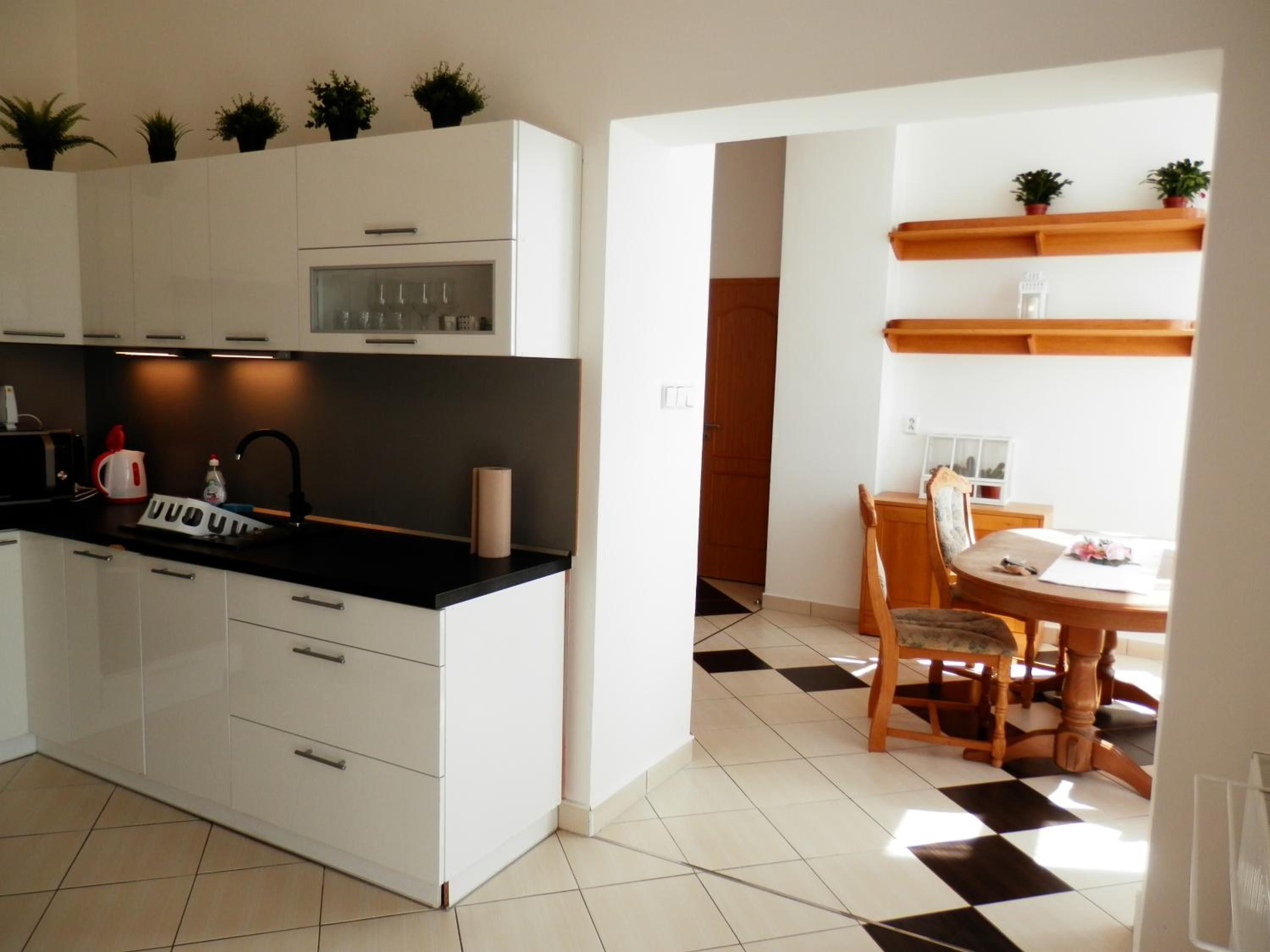 Spacious Apartment Below Spilberk Castle