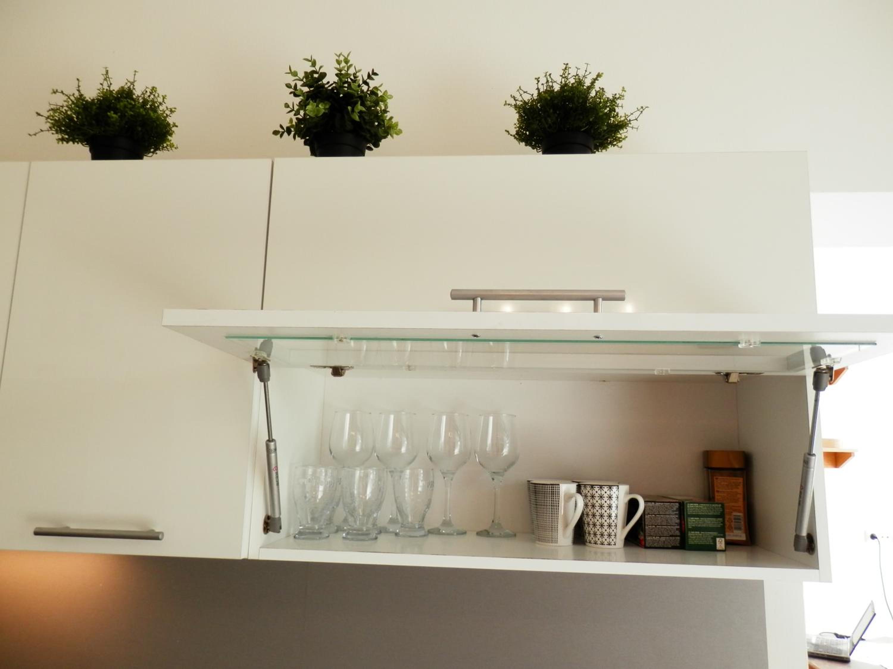 Spacious Apartment Below Spilberk Castle