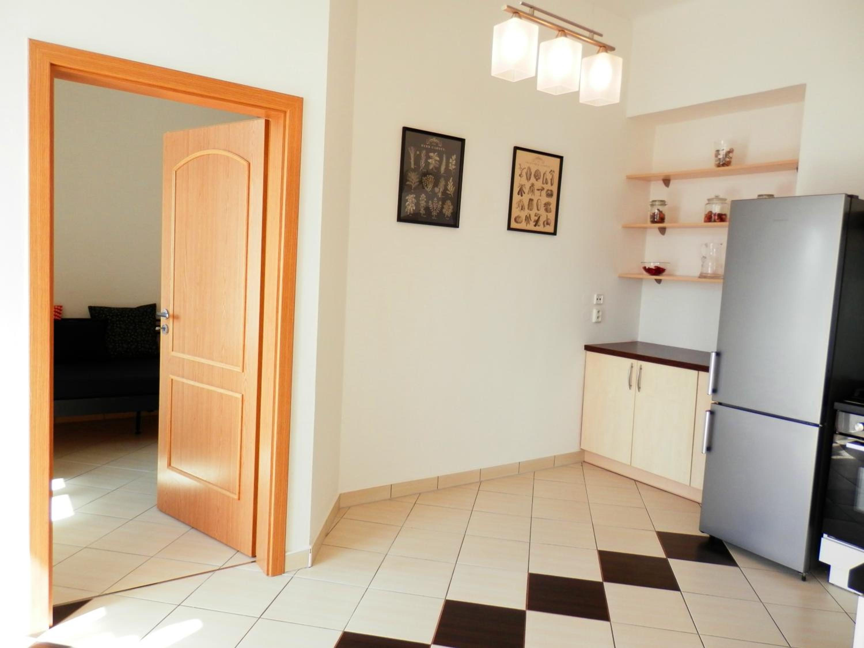 Spacious Apartment Below Spilberk Castle
