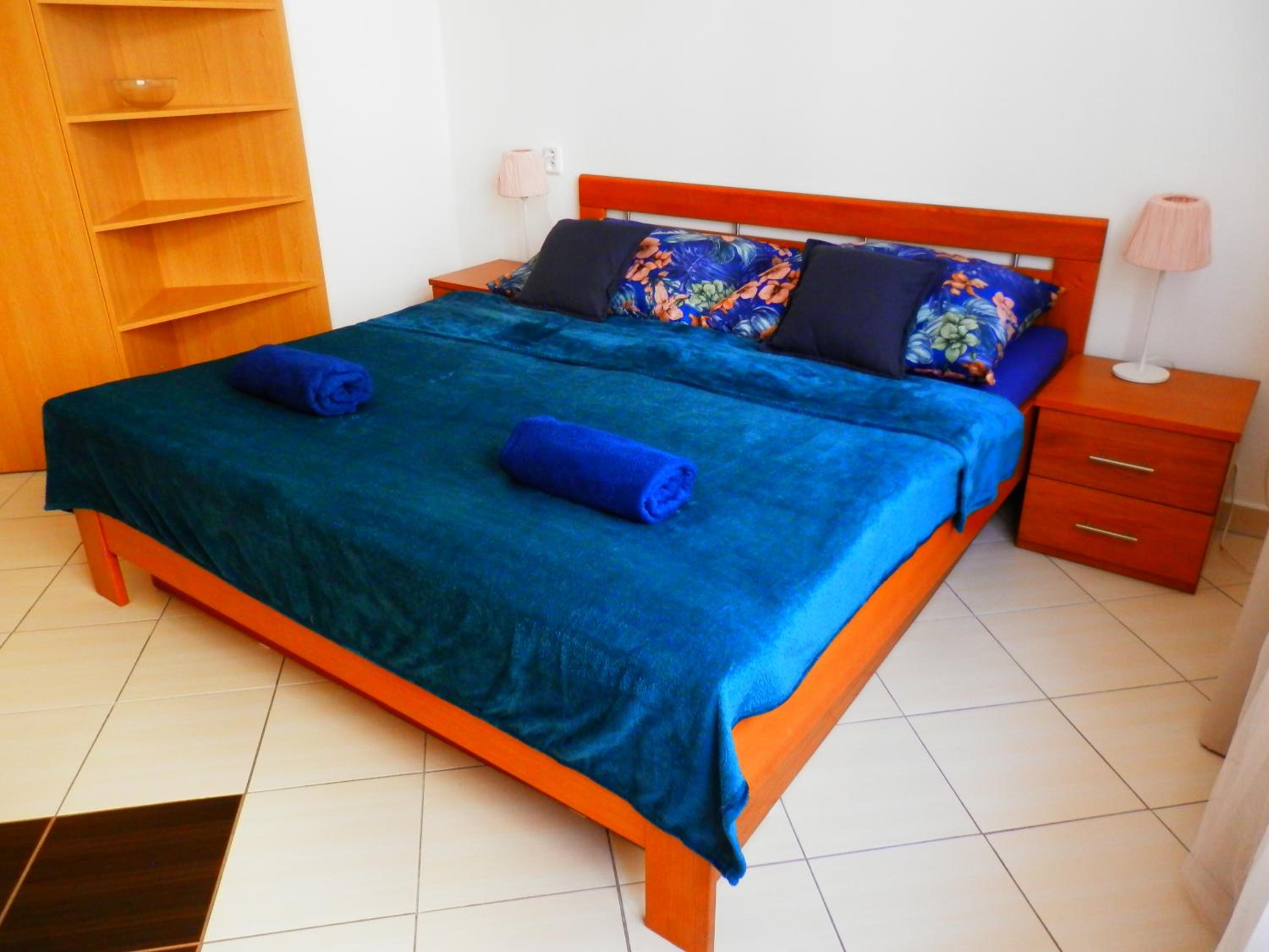 Spacious Apartment Below Spilberk Castle