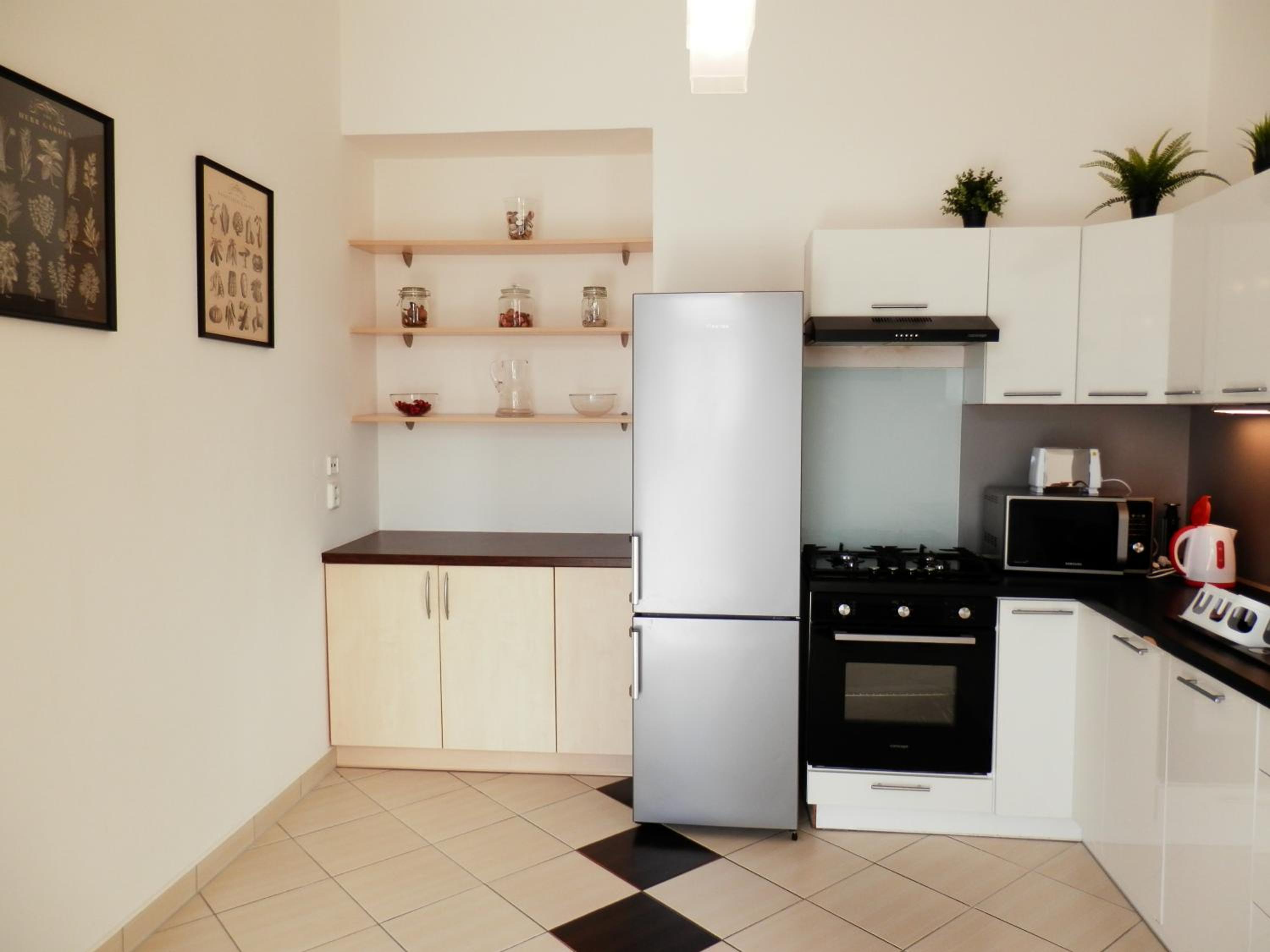 Spacious Apartment Below Spilberk Castle