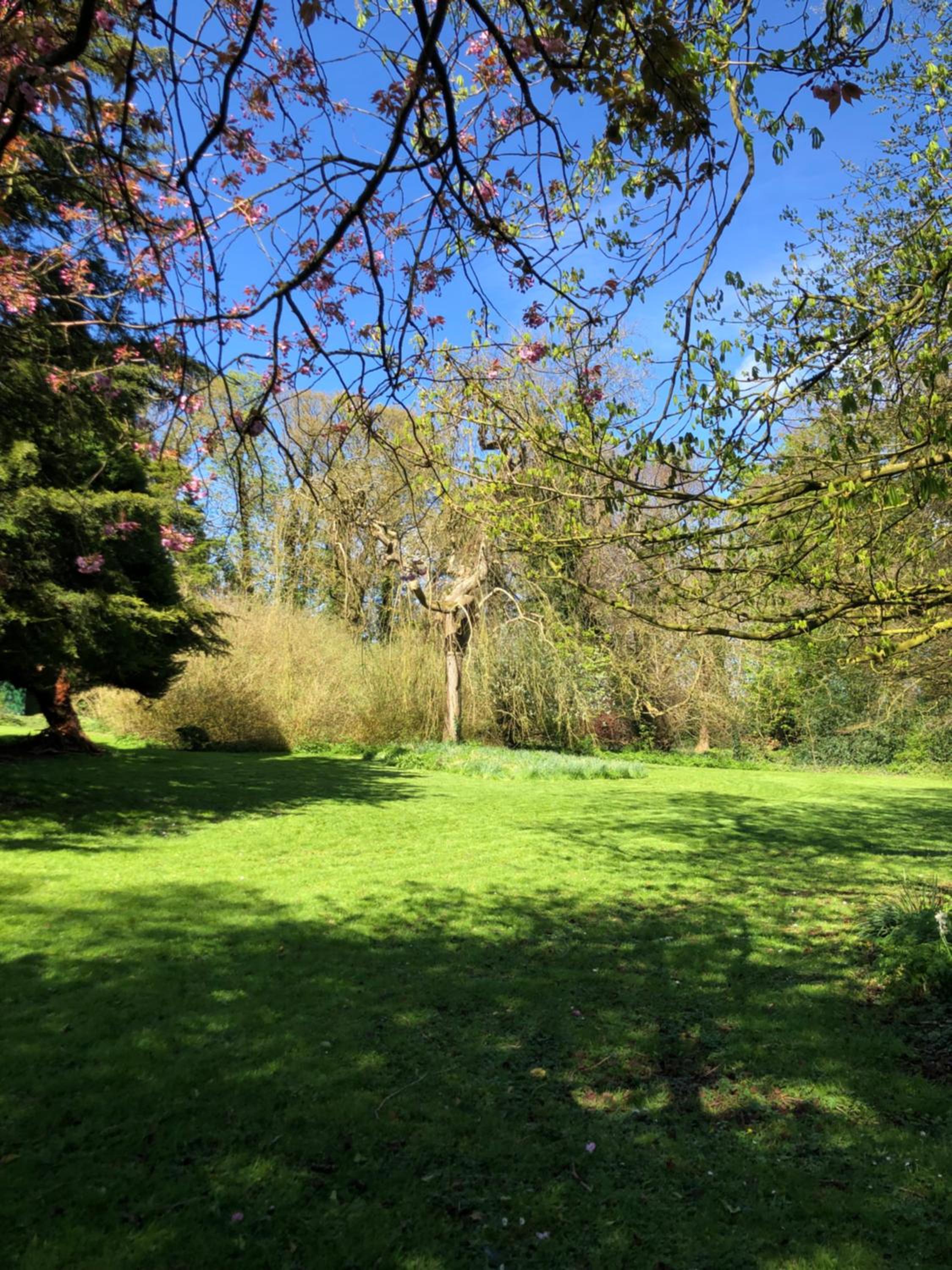 Springwood - Royal Hillsborough view 3