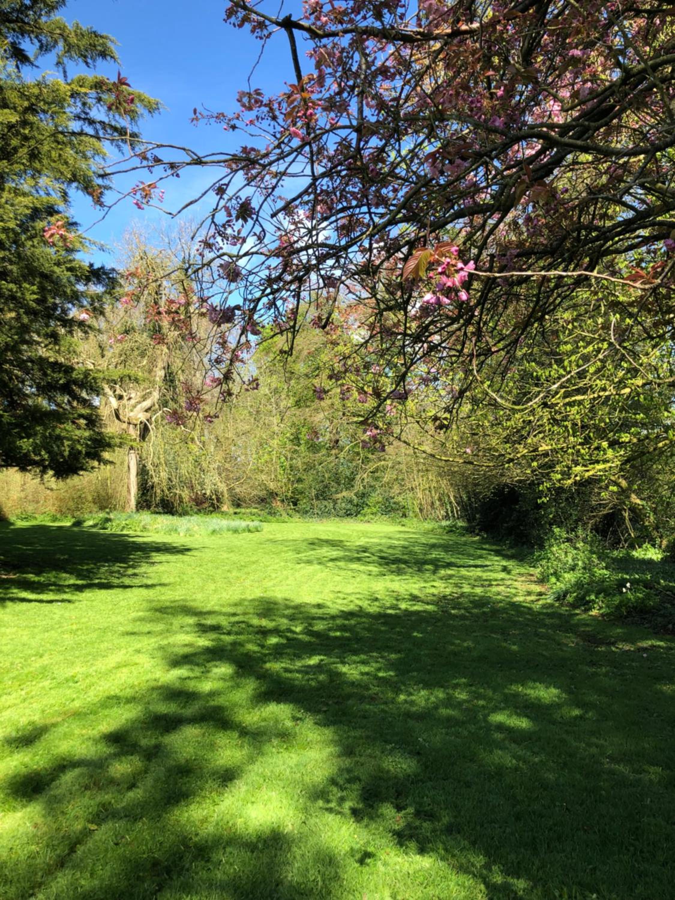 Springwood - Royal Hillsborough view 4