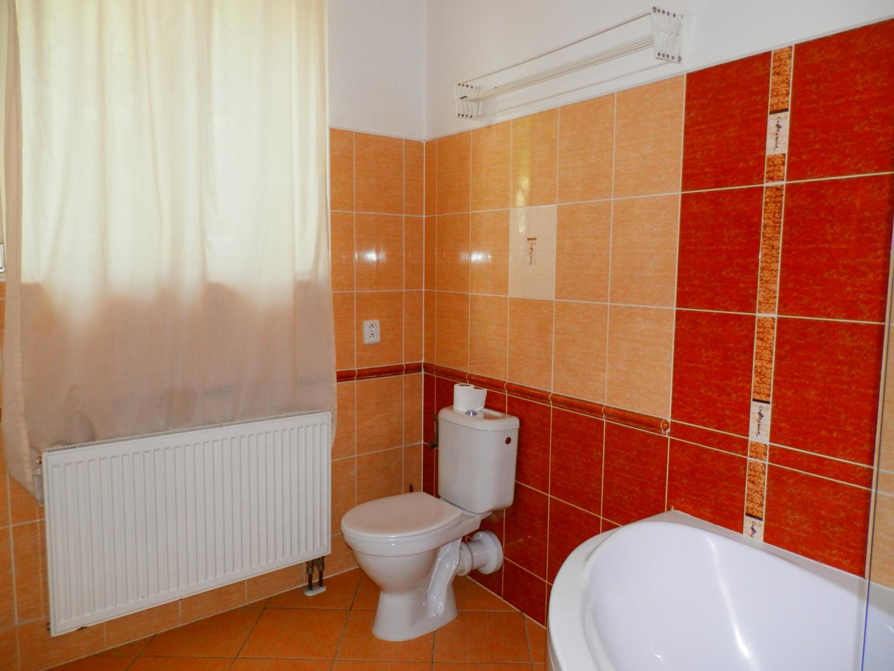 Spacious Apartment Below Spilberk Castle