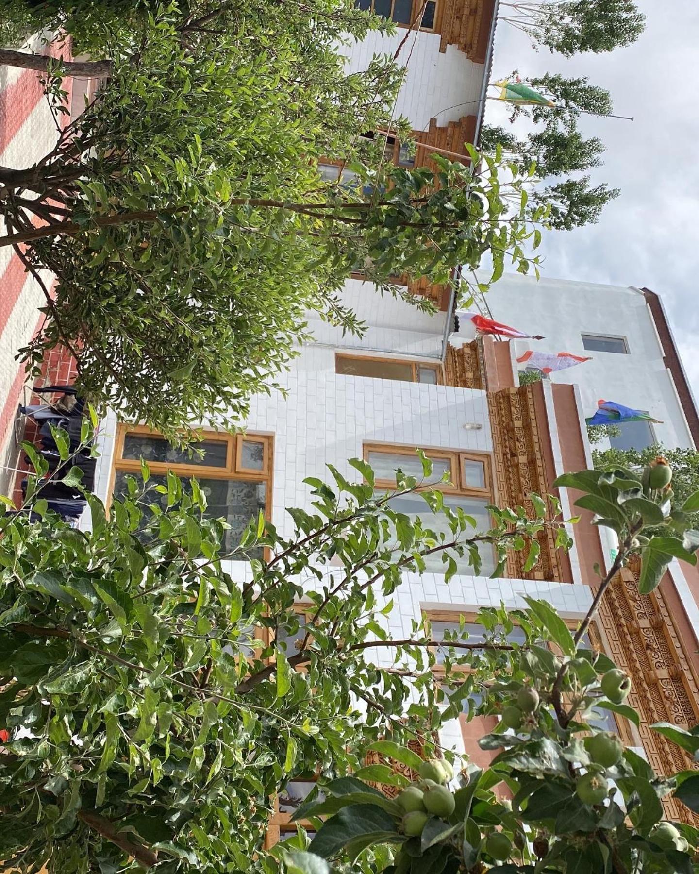 Jimmys homestay