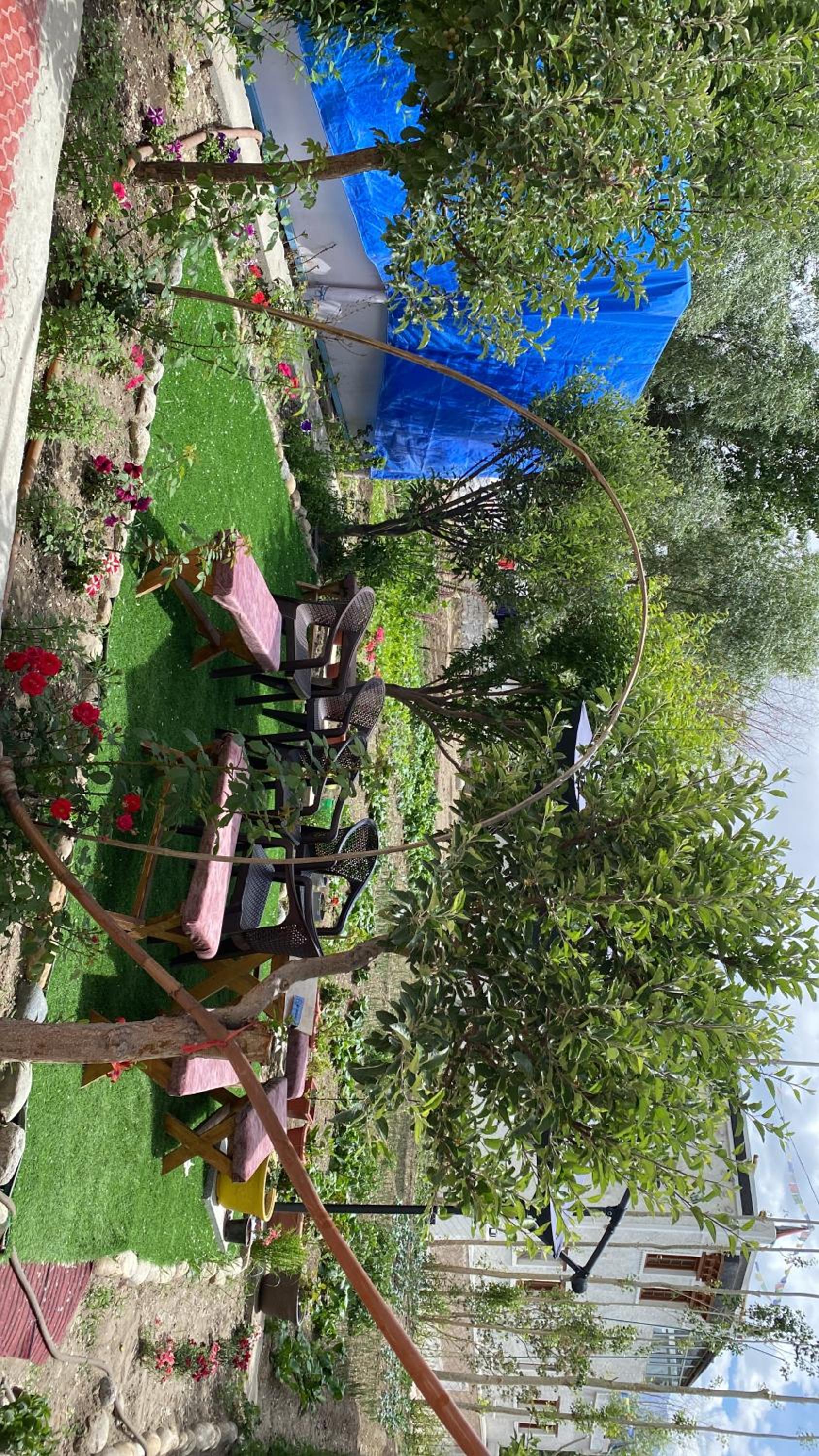 Jimmys homestay
