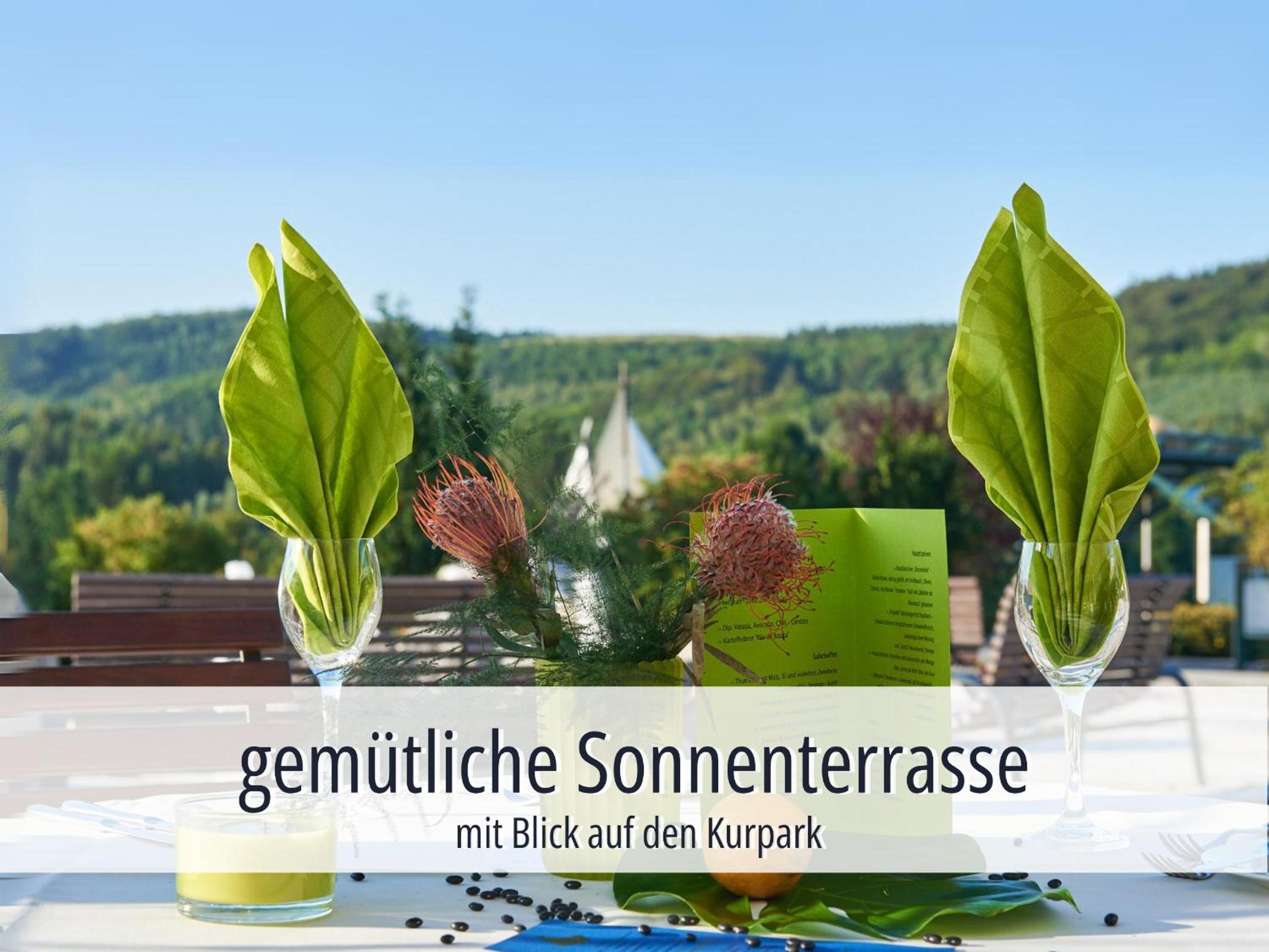 Hotel Am Kurhaus mit erstem Ayurveda Center Sachsens - direkt am Gesundheitsbad ACTINON Kurpark - Property Image 50