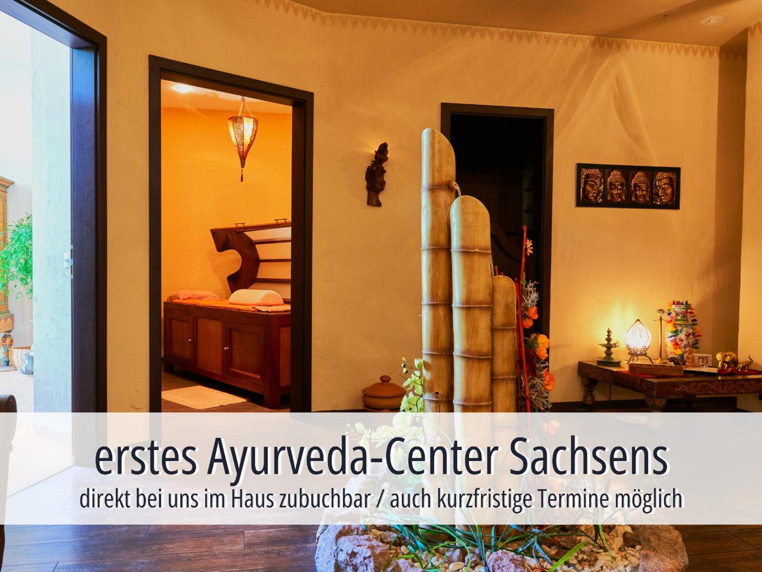 Hotel Am Kurhaus mit erstem Ayurveda Center Sachsens - direkt am Gesundheitsbad ACTINON Kurpark - Property Image 59