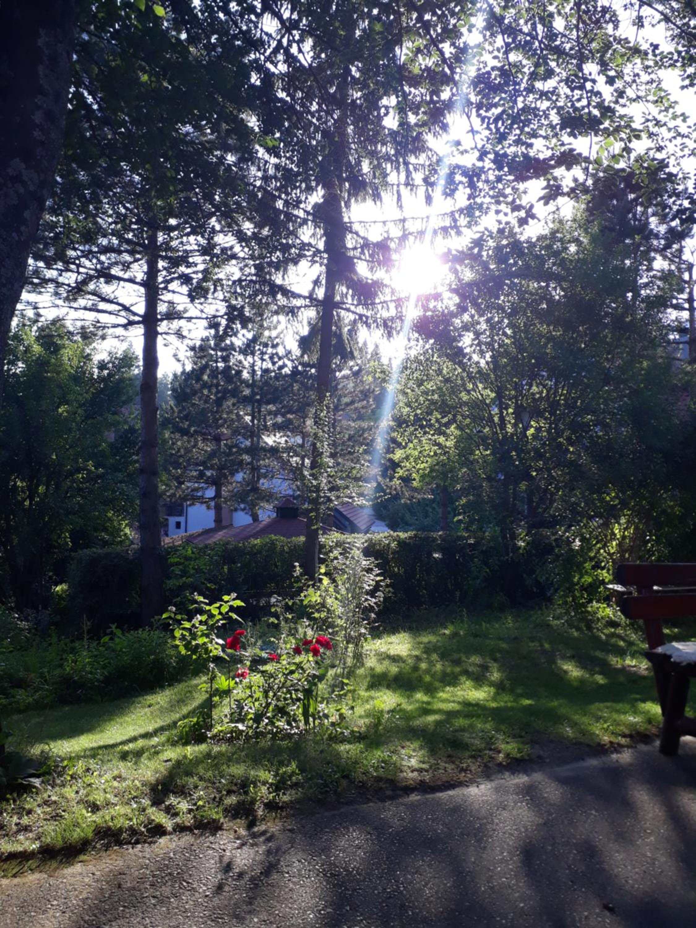 Apartman Jorgovan
