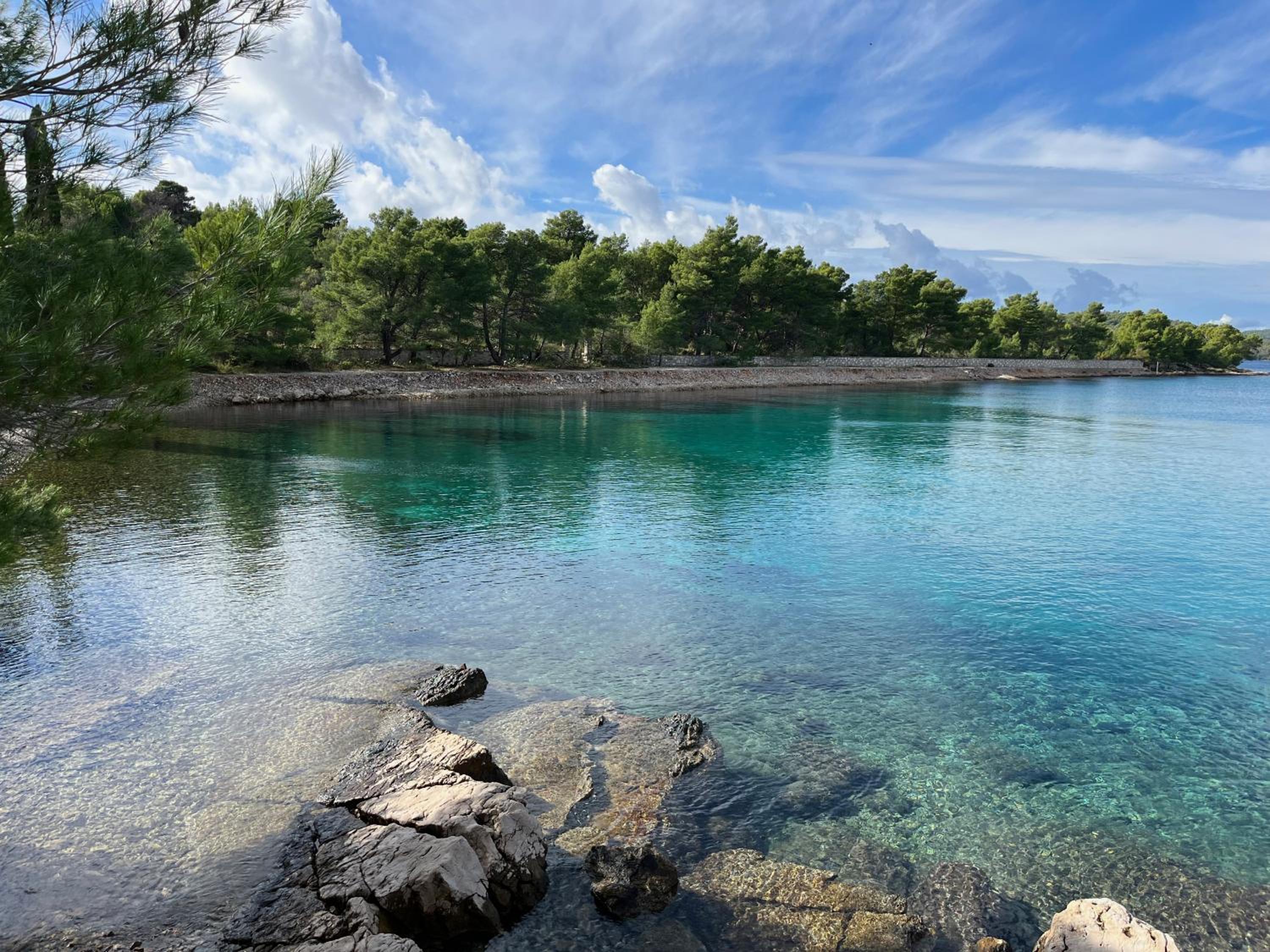 Bayview Haven