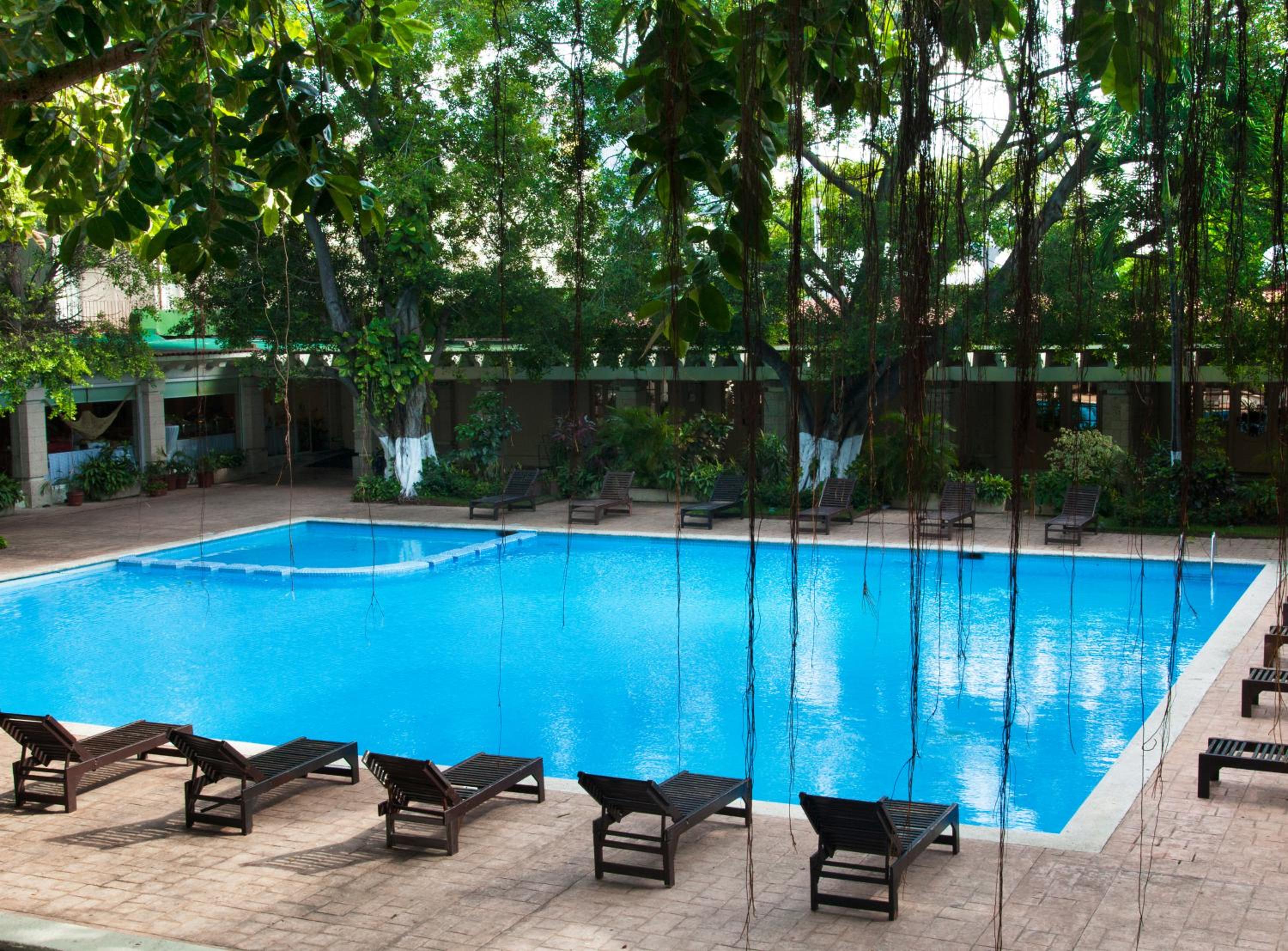 Villahermosa Vacations - Hotel Viva Villahermosa - Property Image 61