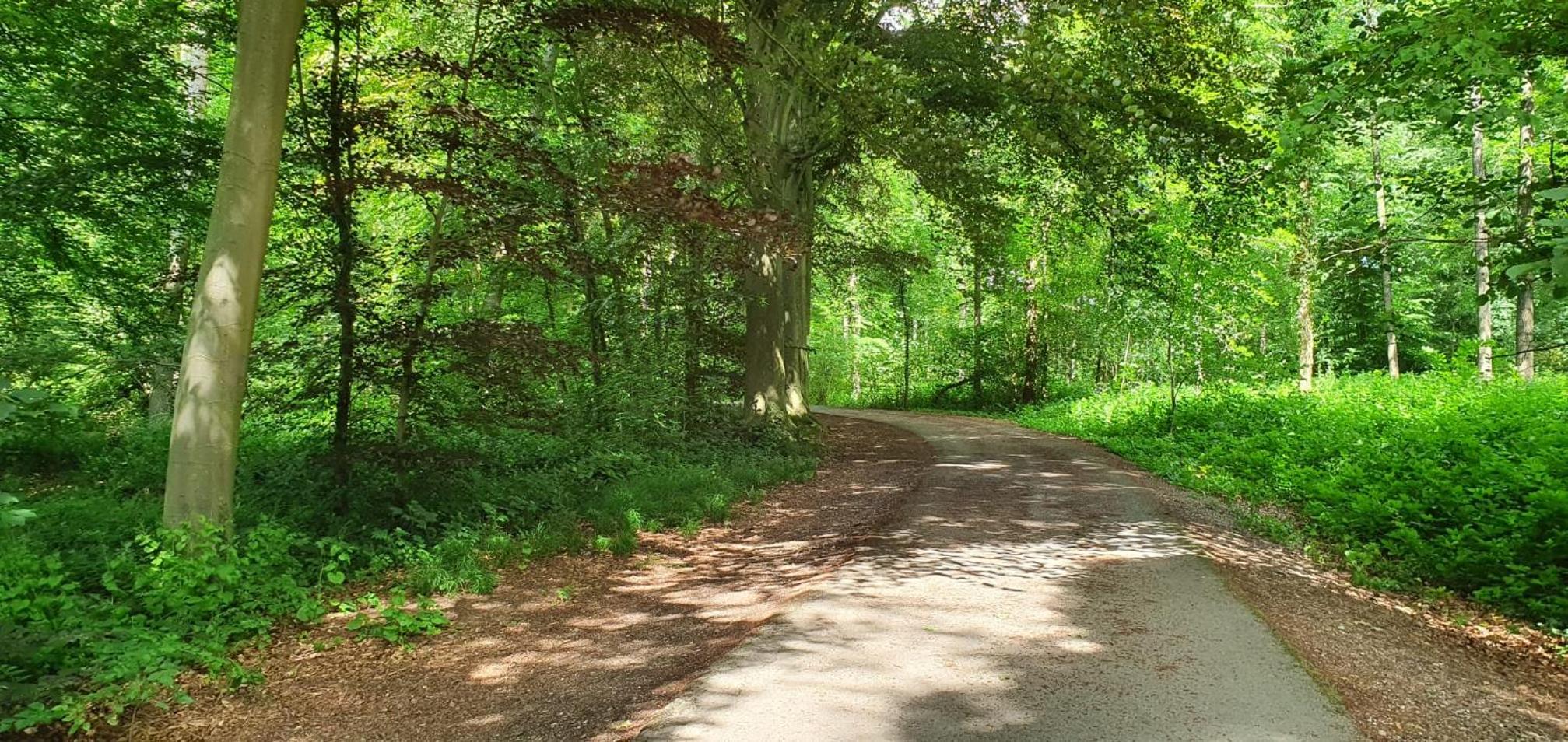 Le Loft du Renard, gîte cosy au coeur de la nature boisée à Namur Wépion, une parenthèse douce dans la vallée mosane