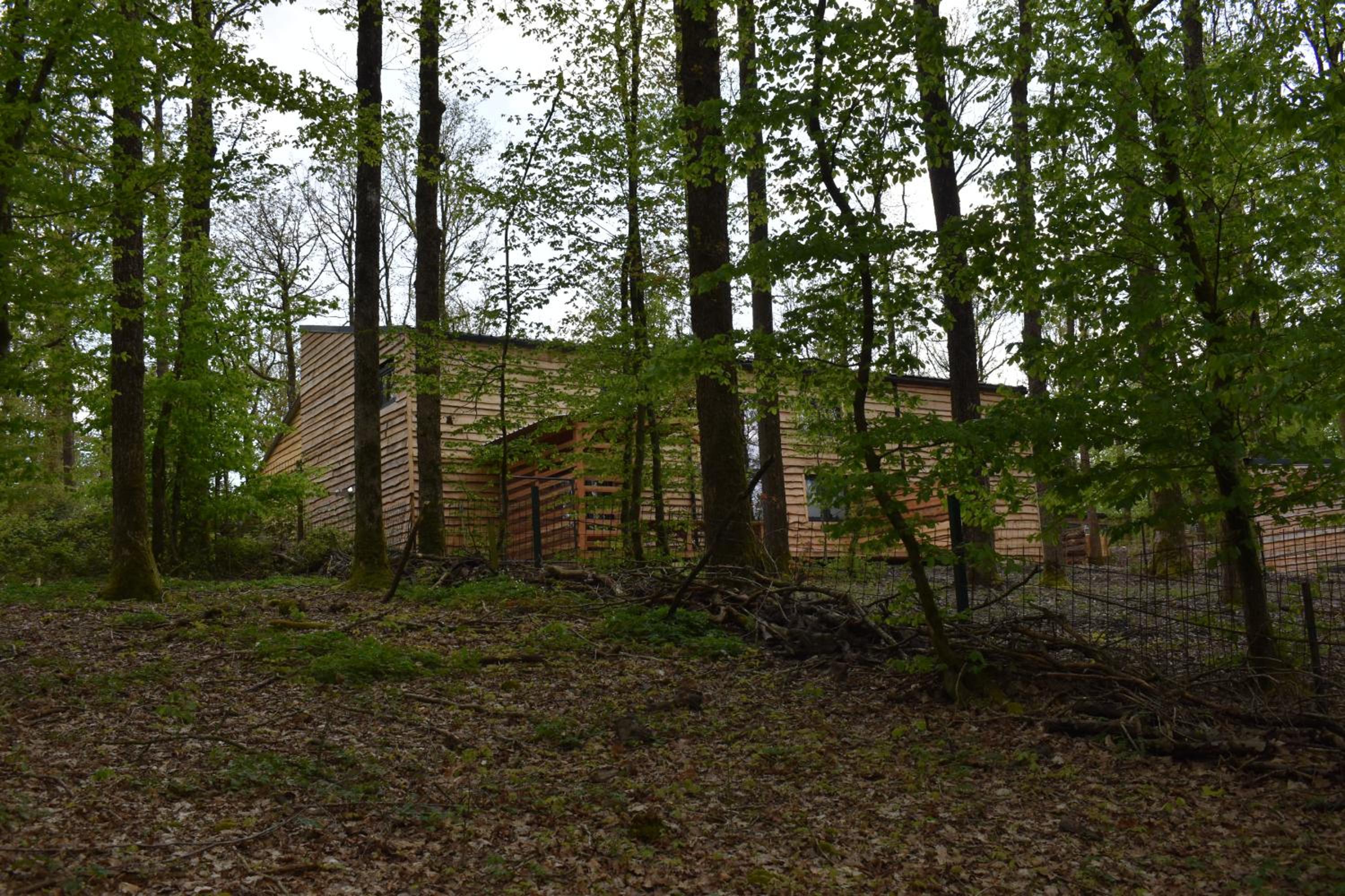 Gite cocon dans la forêt