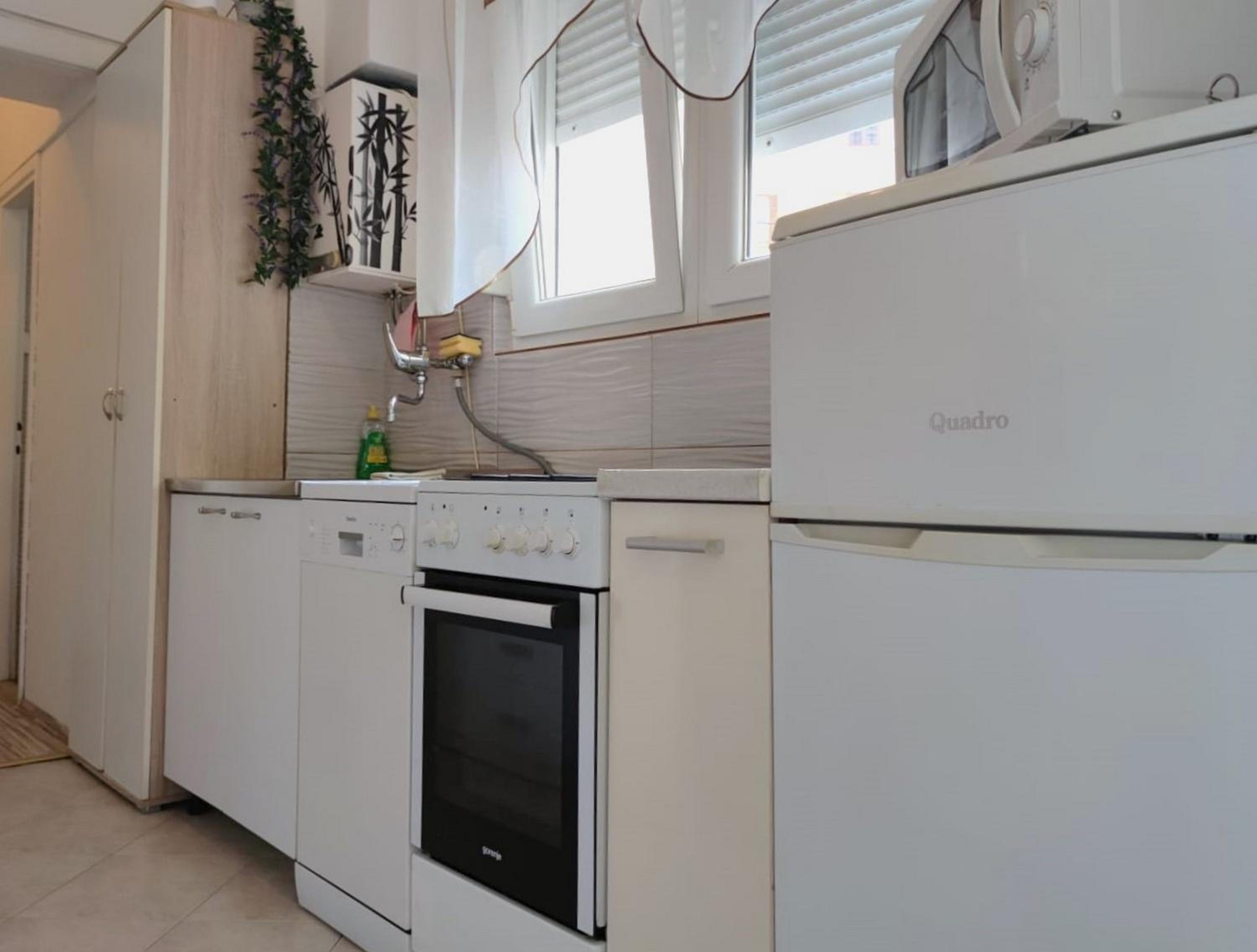 Apartment Taja