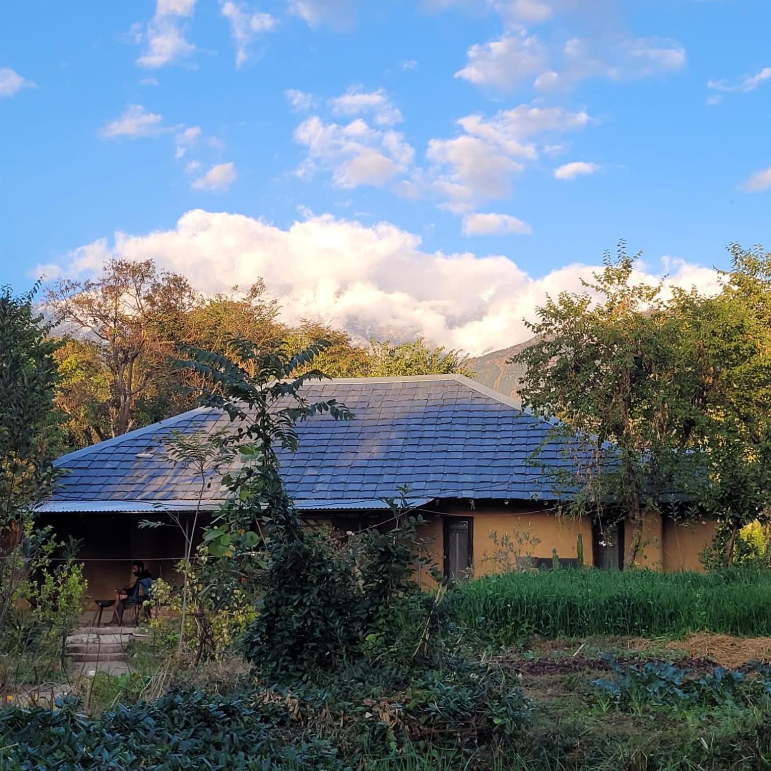 Photo 45