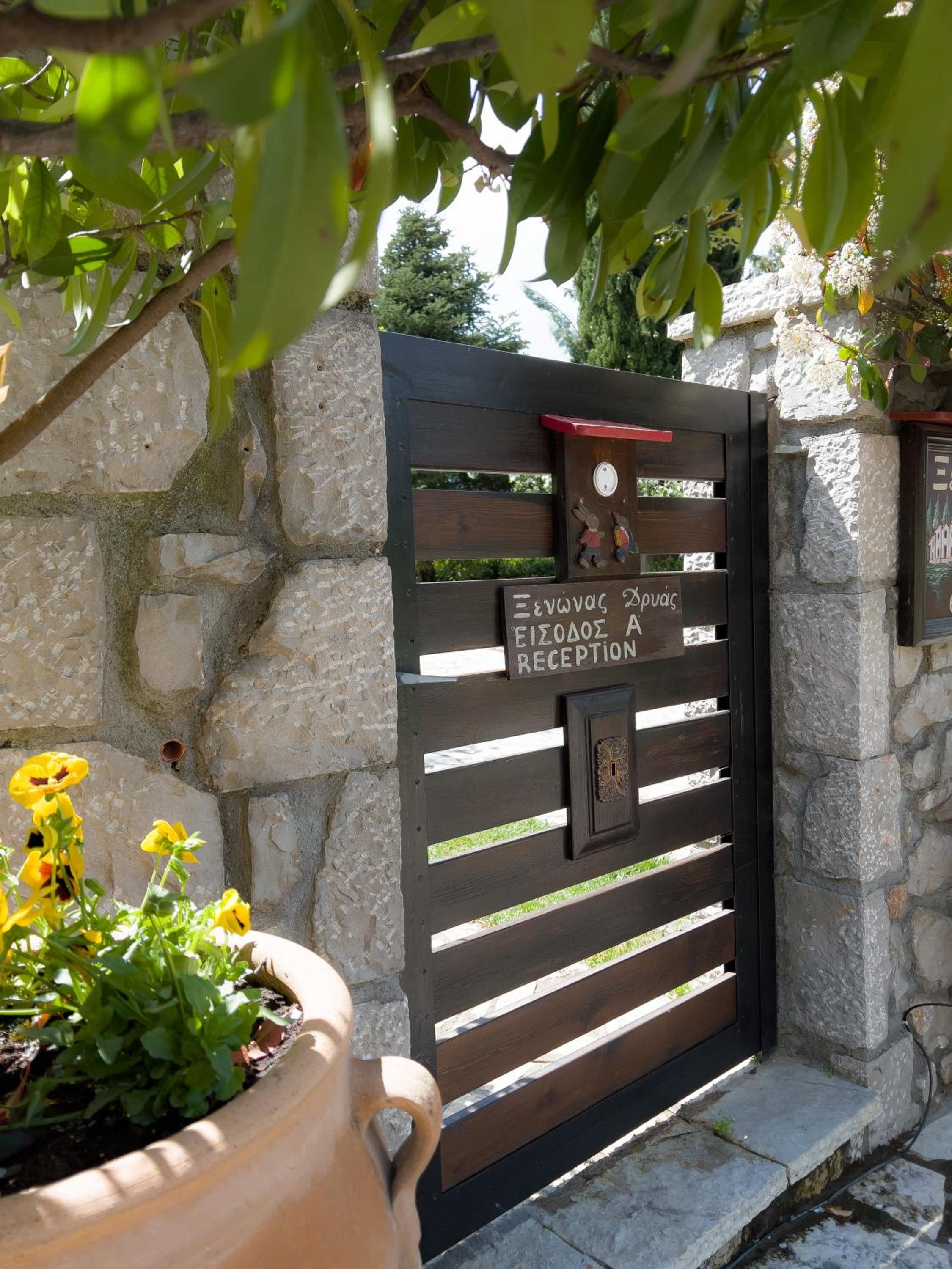 Dryas Guesthouse