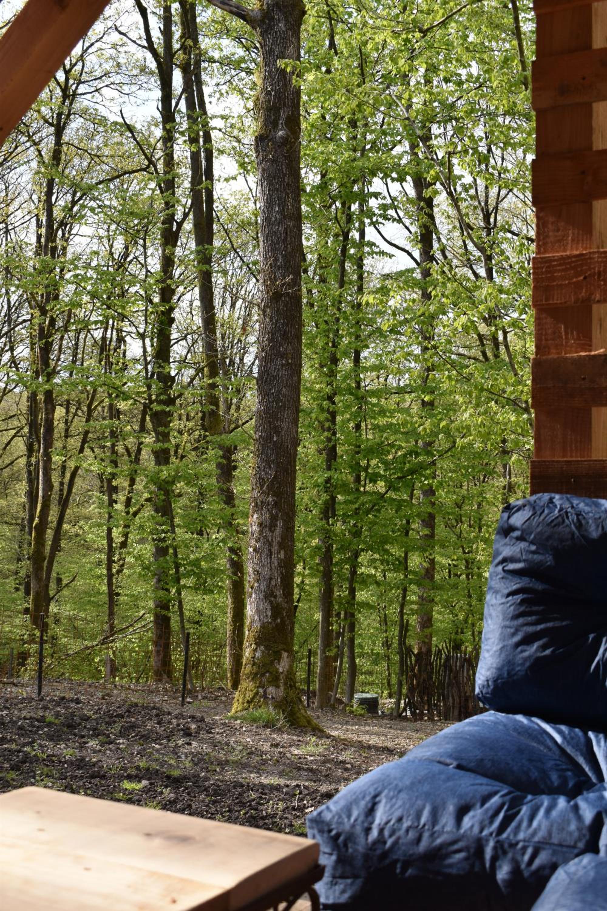 Gite cocon dans la forêt