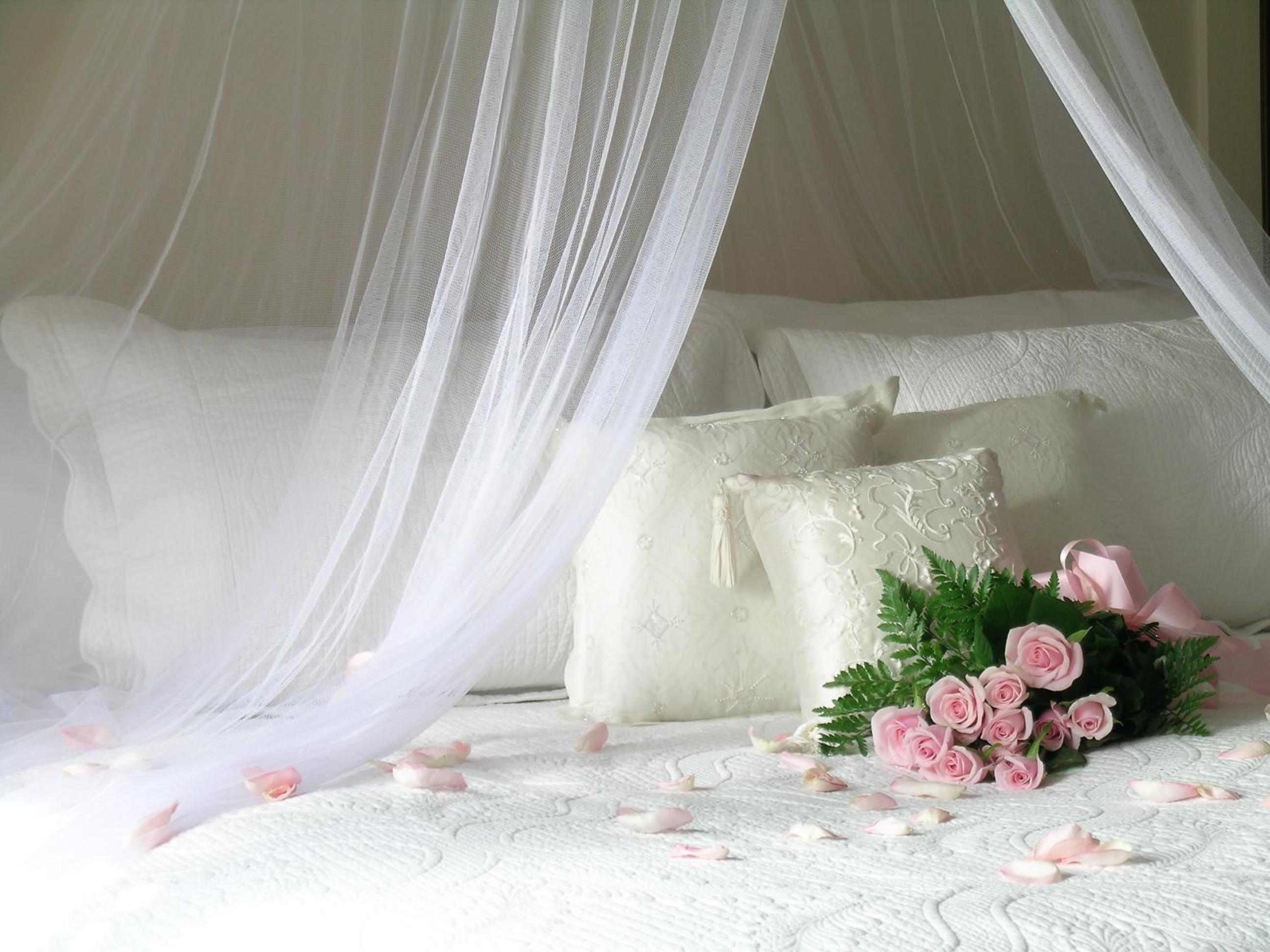 Plantation House Bed & Breakfast