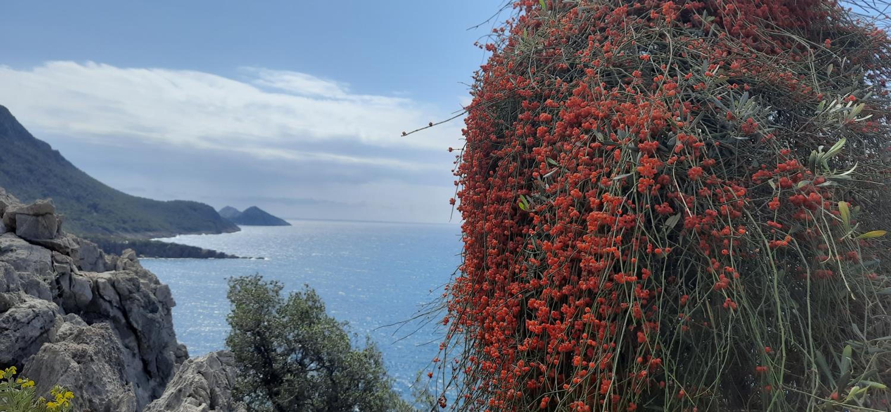 Gelidonia Holiday Home on the Lycian Way