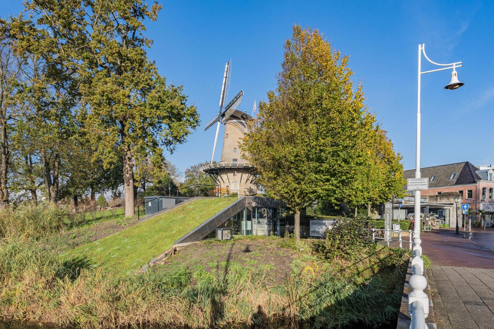 Molenzicht