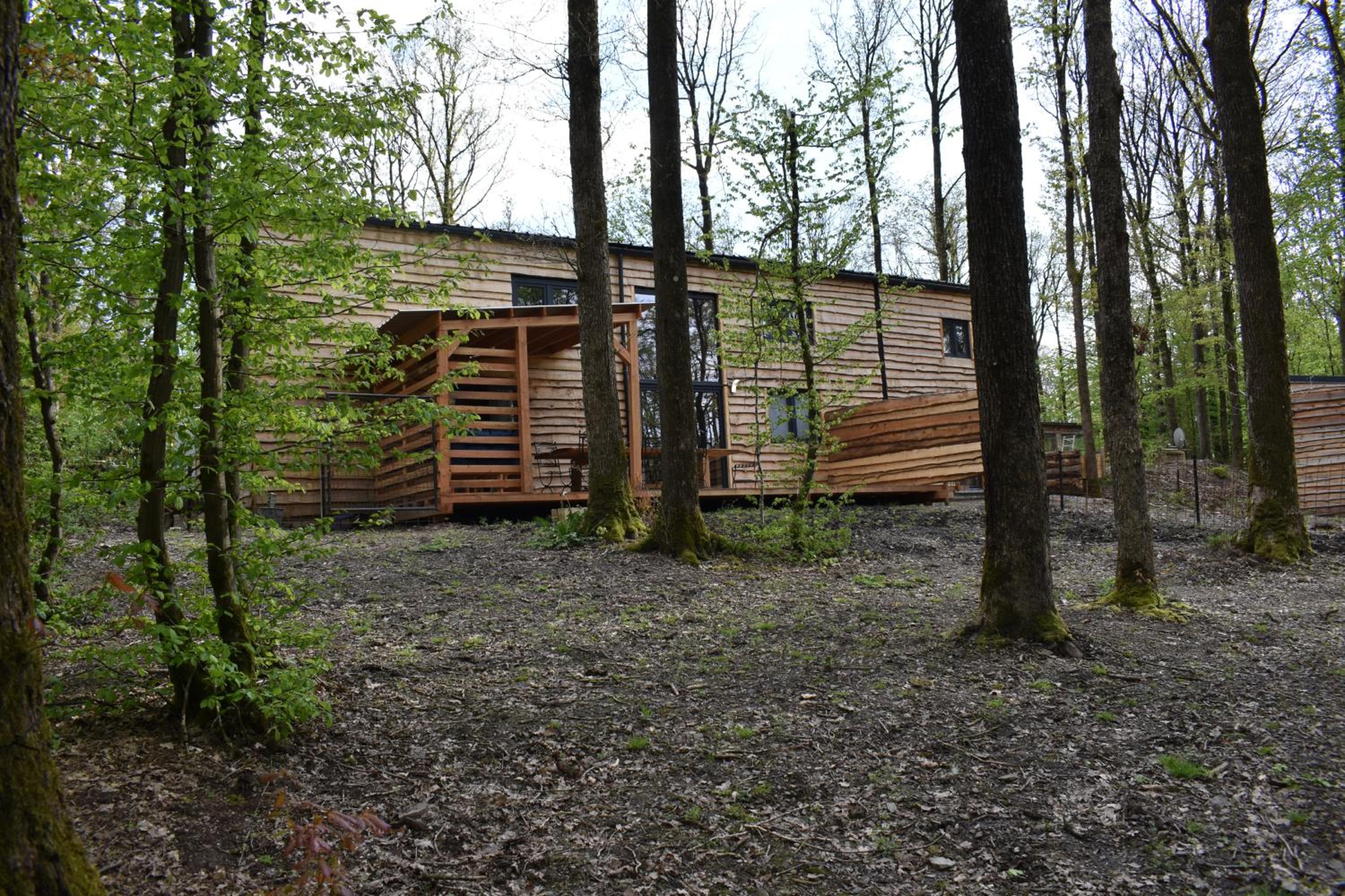 Gite cocon dans la forêt