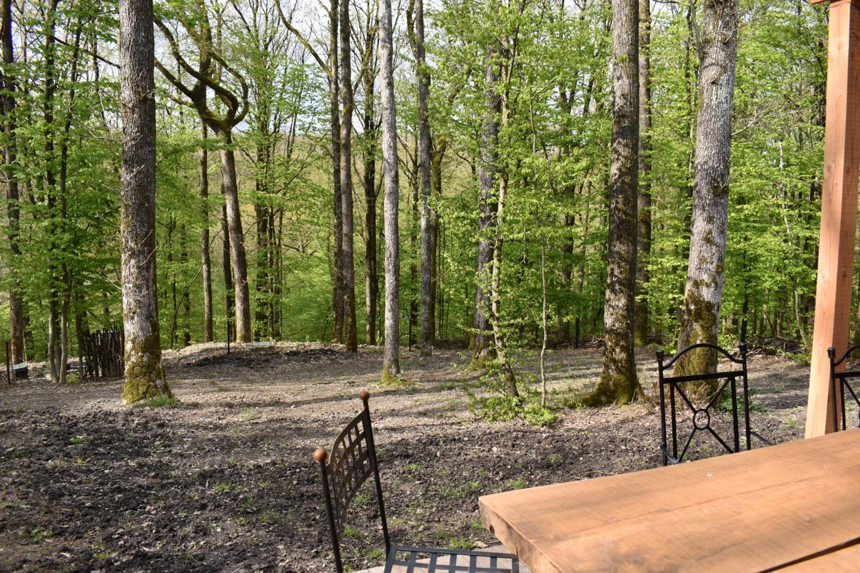 Gite cocon dans la forêt