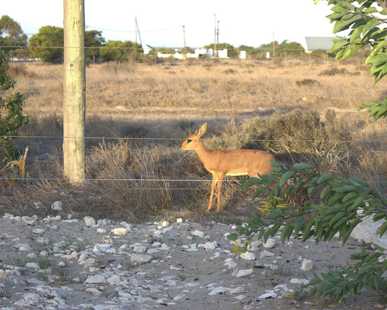 Photo 51