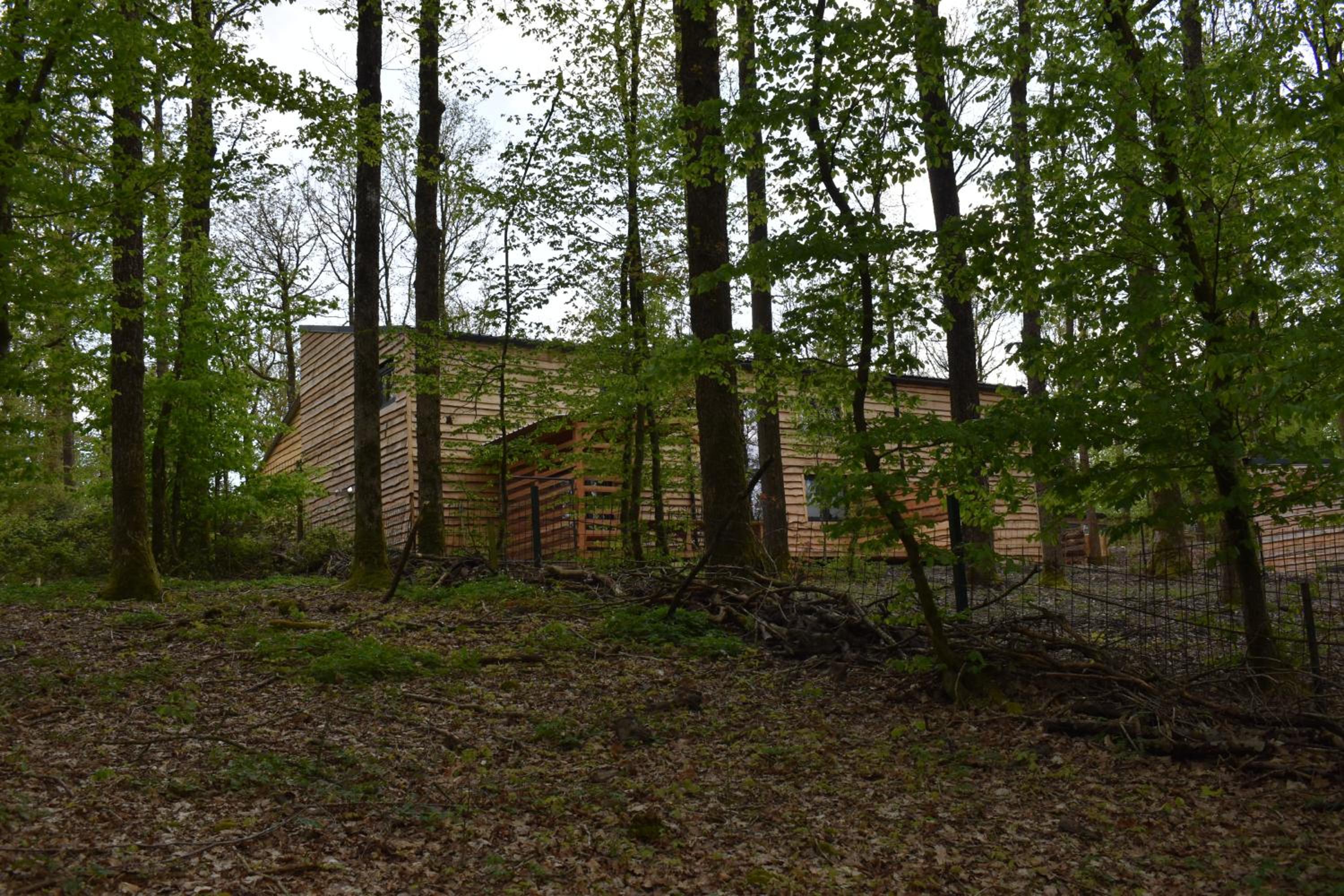 Gite cocon dans la forêt