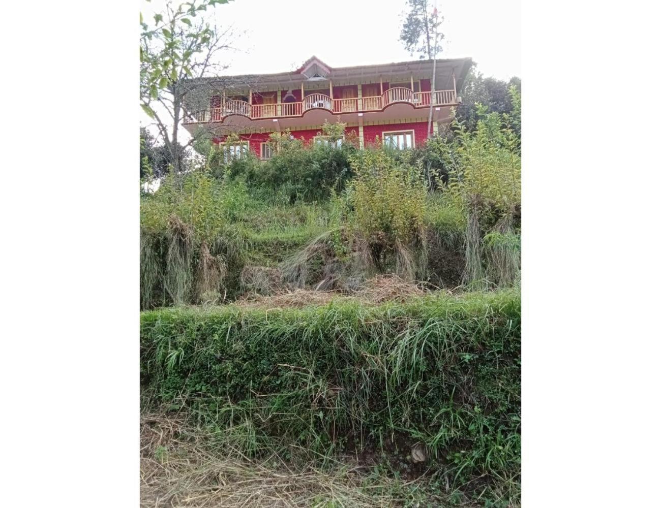 Ghughuti home stay, Mukteshwar view 3