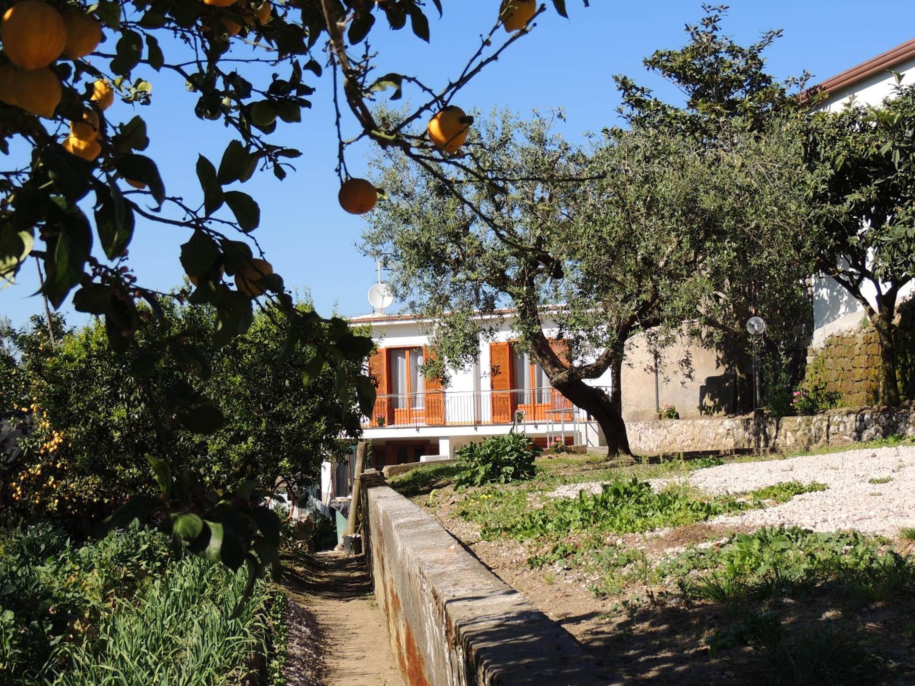 Johanna’s house photo 2