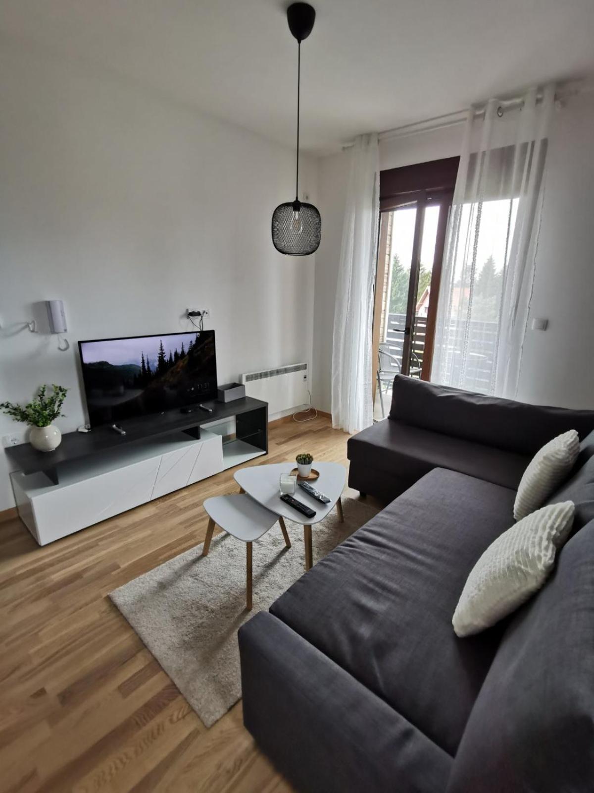 Apartman Zlatiborska smreka view 3