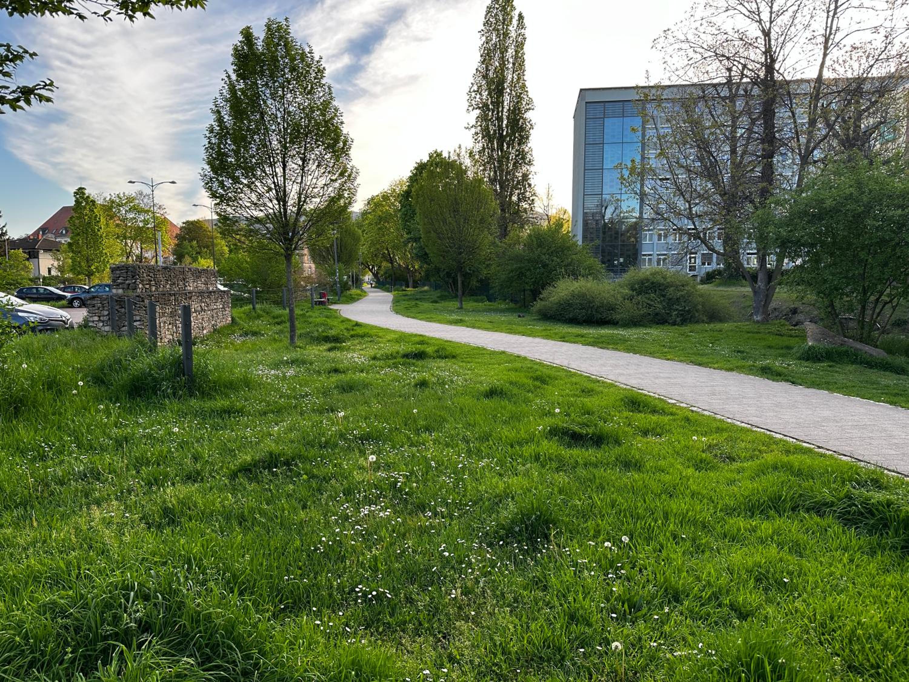SPEYERBACH - modernes Apartment nahe Neustadter Innenstadt