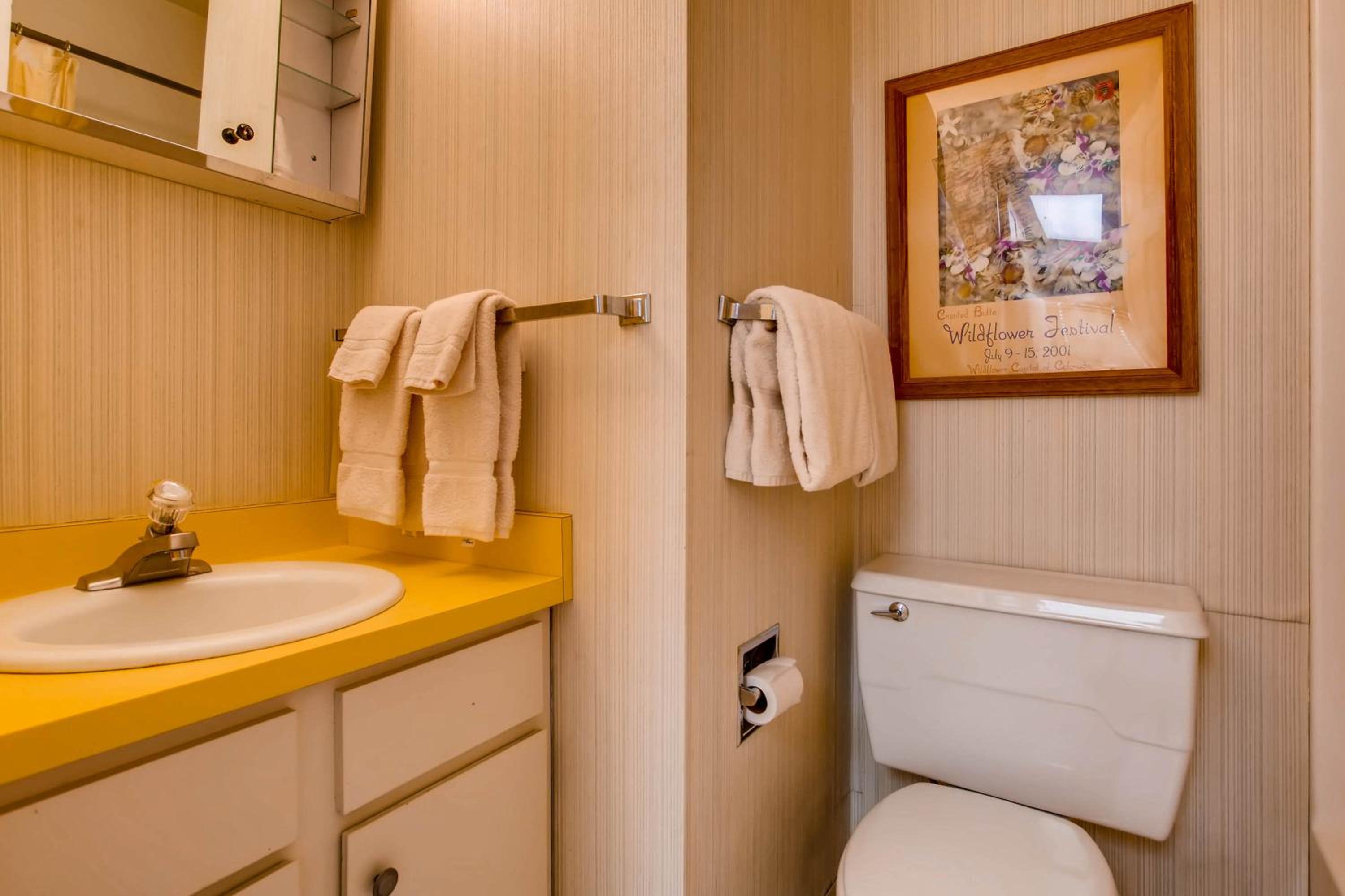 Crested Butte Mountain Resort Properties by Vail Resorts