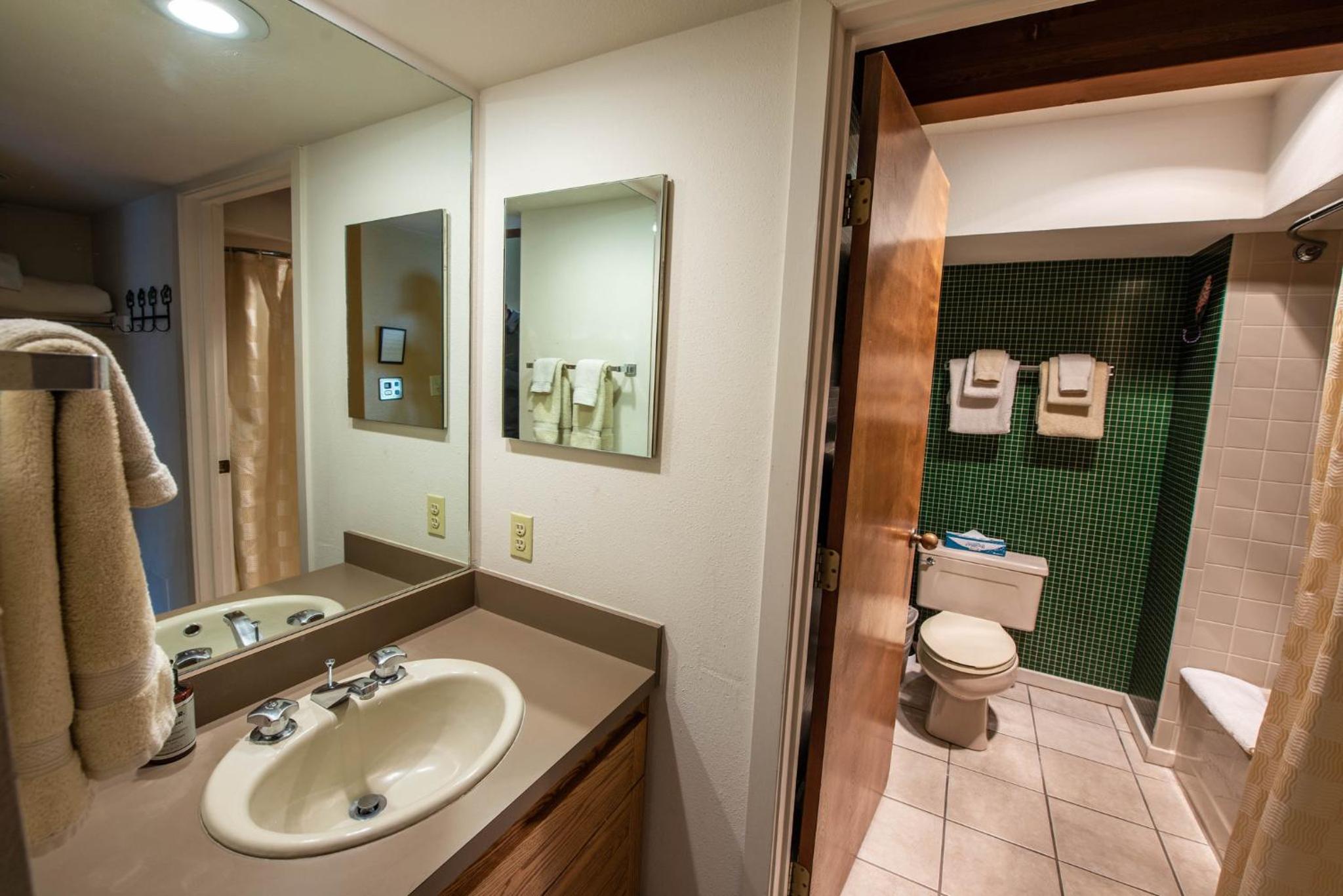 Crested Butte Mountain Resort Properties by Vail Resorts