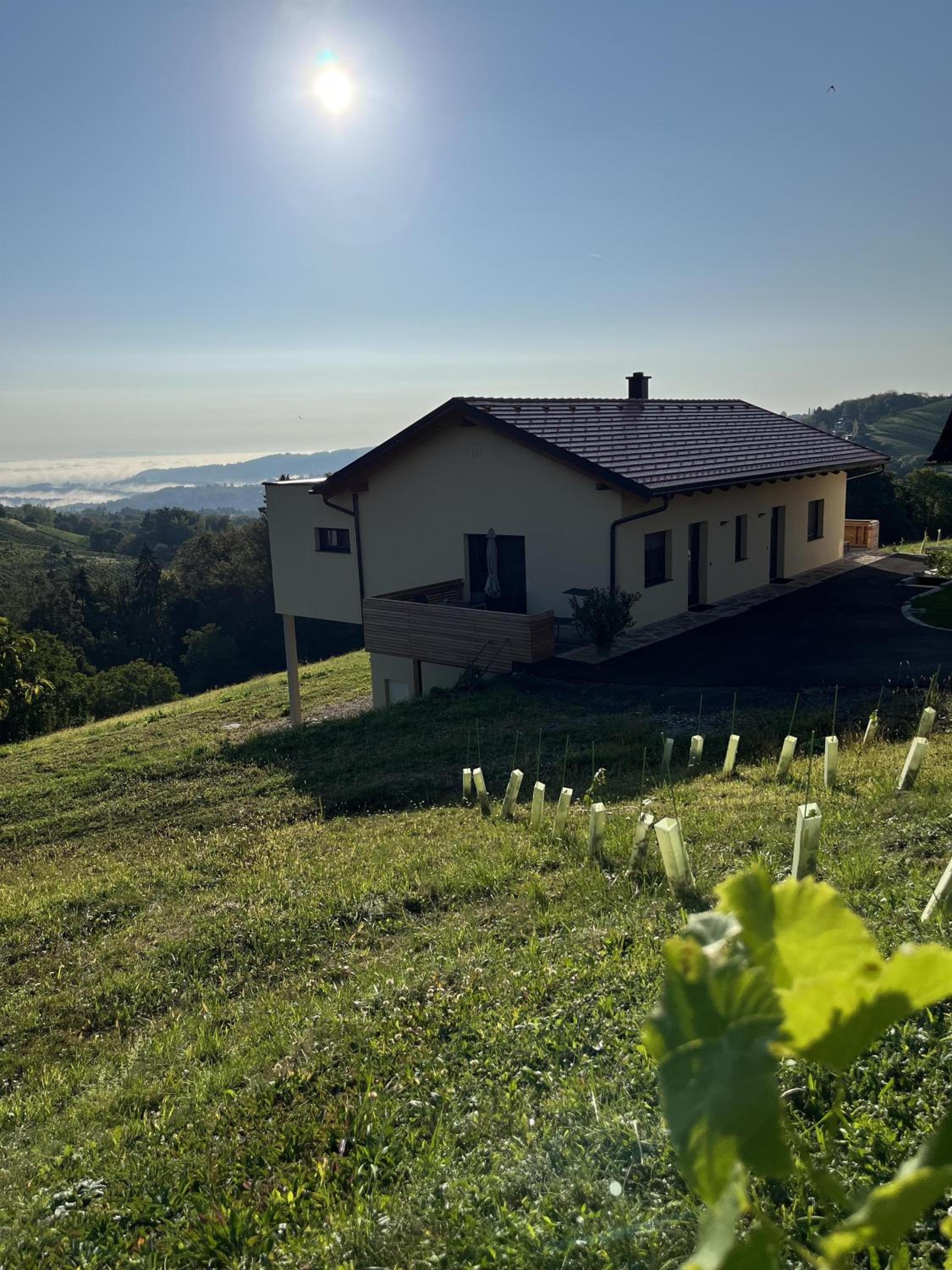 Ferienwohnung Weingut Koller