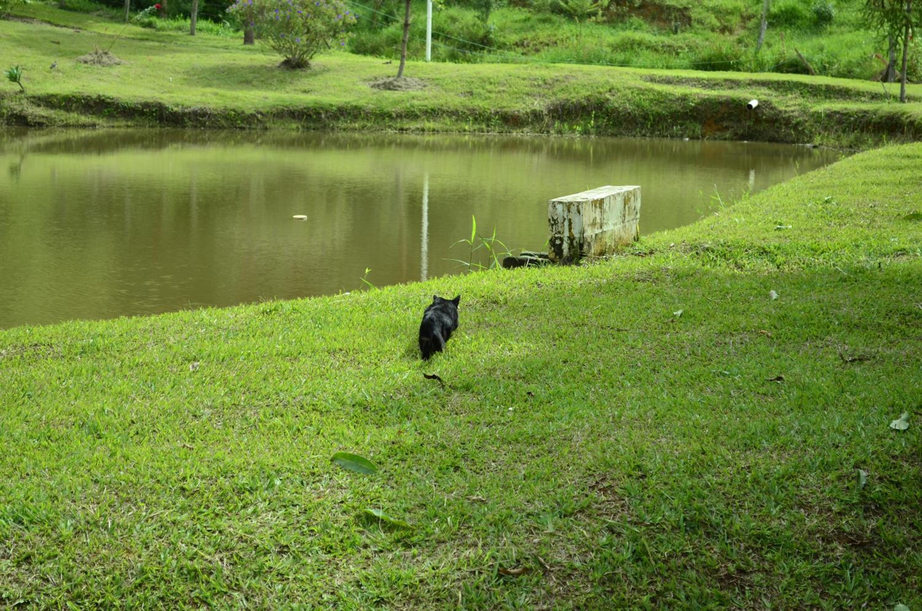 Photo 26